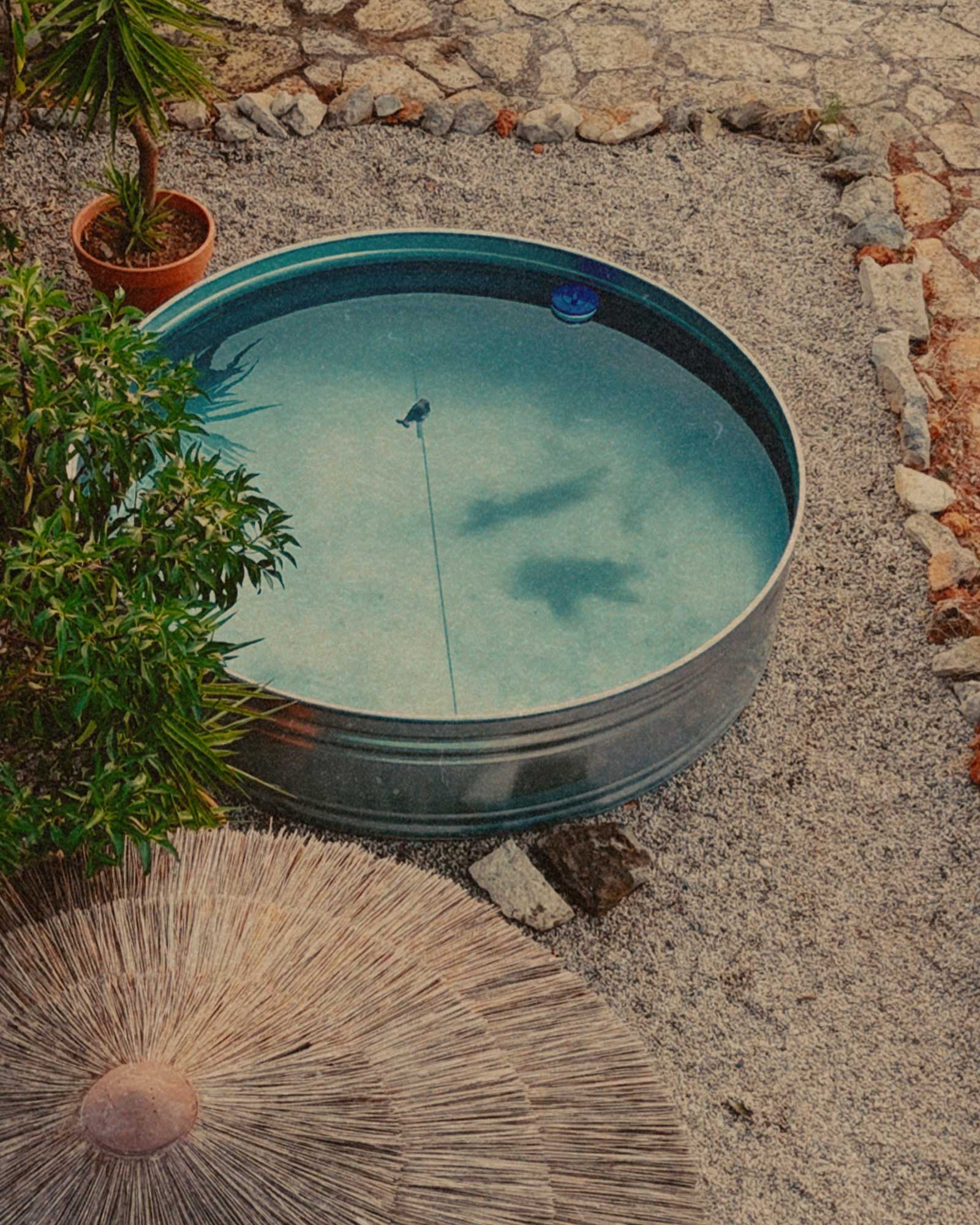 casa-amendoeira_country-house_algarve-portugal_exterior-pool-detail.jpg