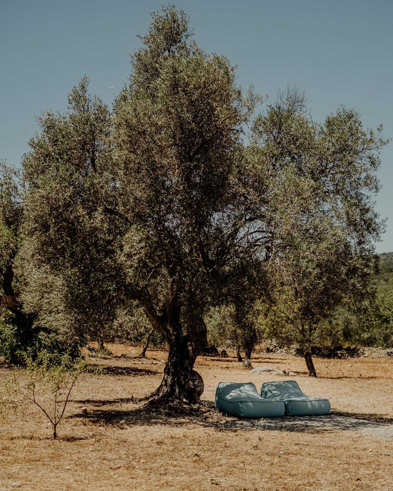 casa-amendoeira_country-house_algarve-portugal_exterior-tree.jpg