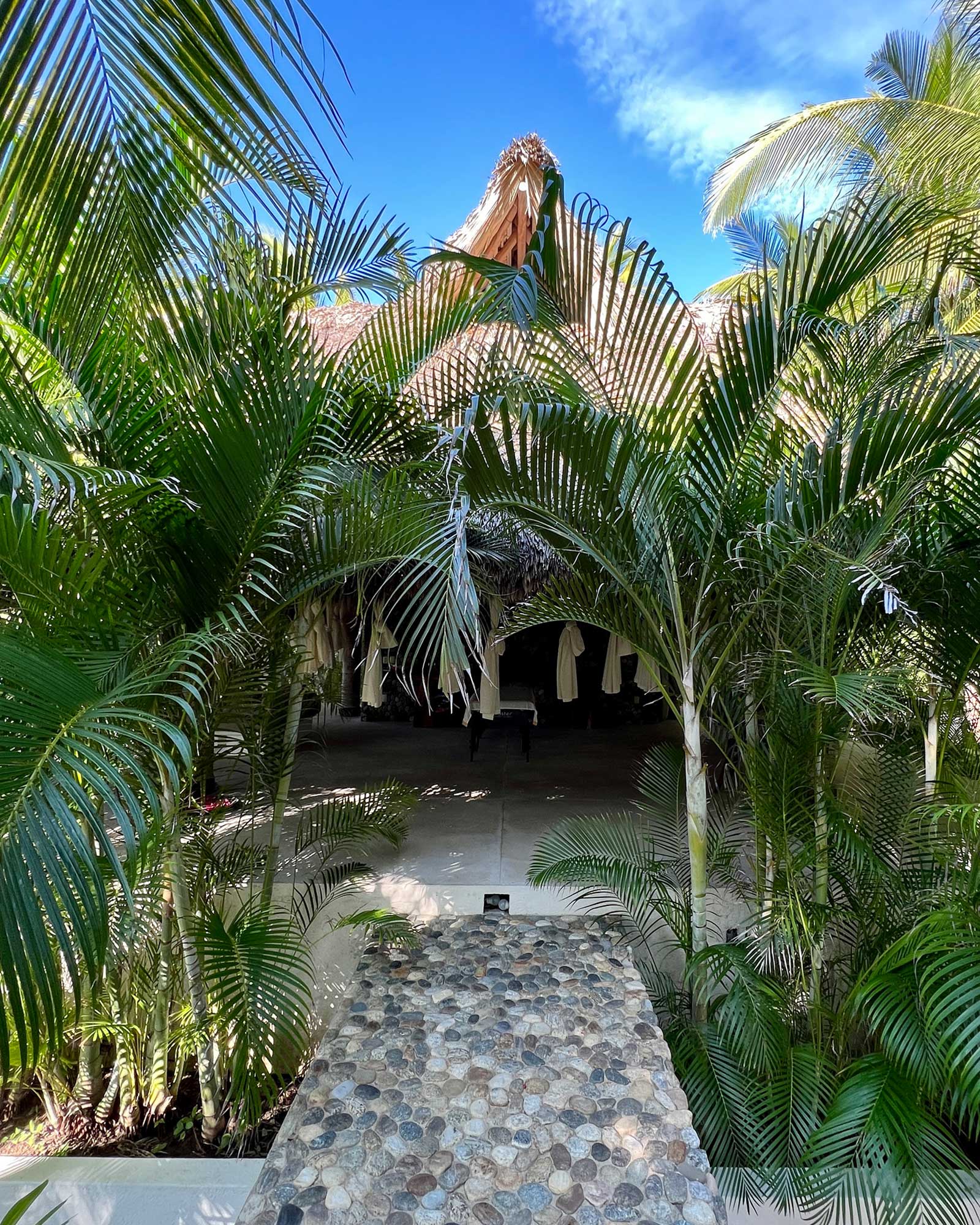 casa-inspiracion_palapa_puerto-escondido-oaxaca-mexico_exterior-palms.jpg