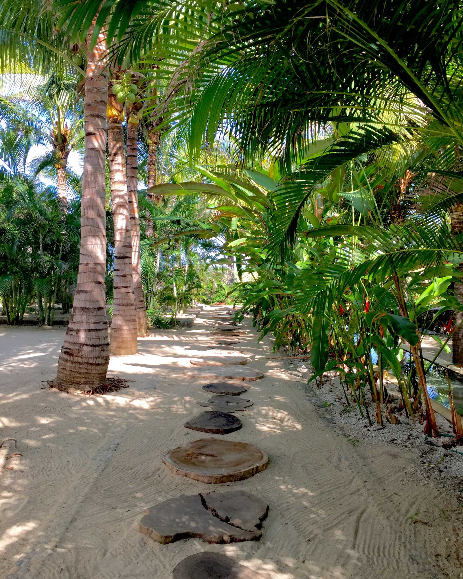 casa-inspiracion_palapa_puerto-escondido-oaxaca-mexico_exterior-path.jpg