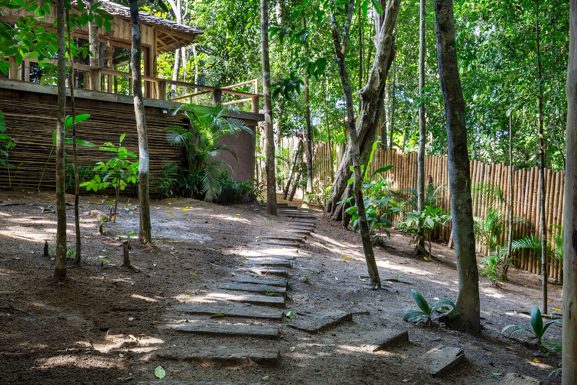 casa-mata-awe_house_bahia-brazil_exterior-path.jpg