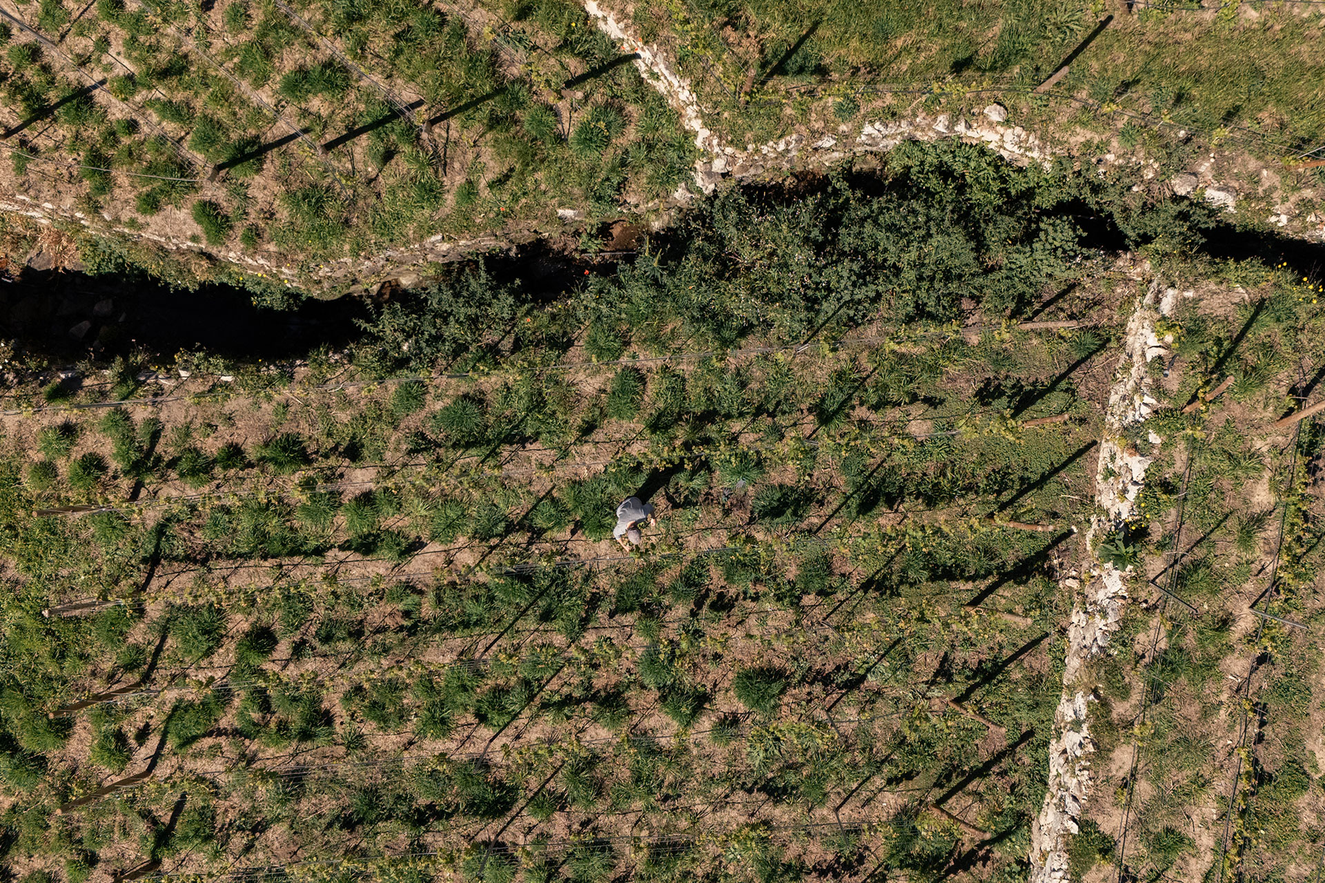 quinta-da-lila_estate_Faro-District-portugal_exterior.jpg