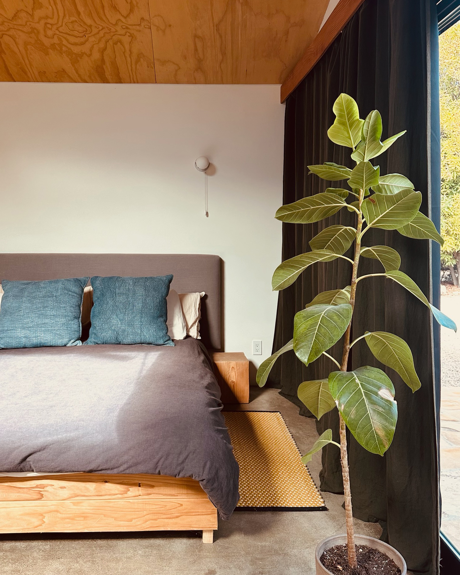 modern-east-end-studio_studio_california-usa_interior-bed.jpg