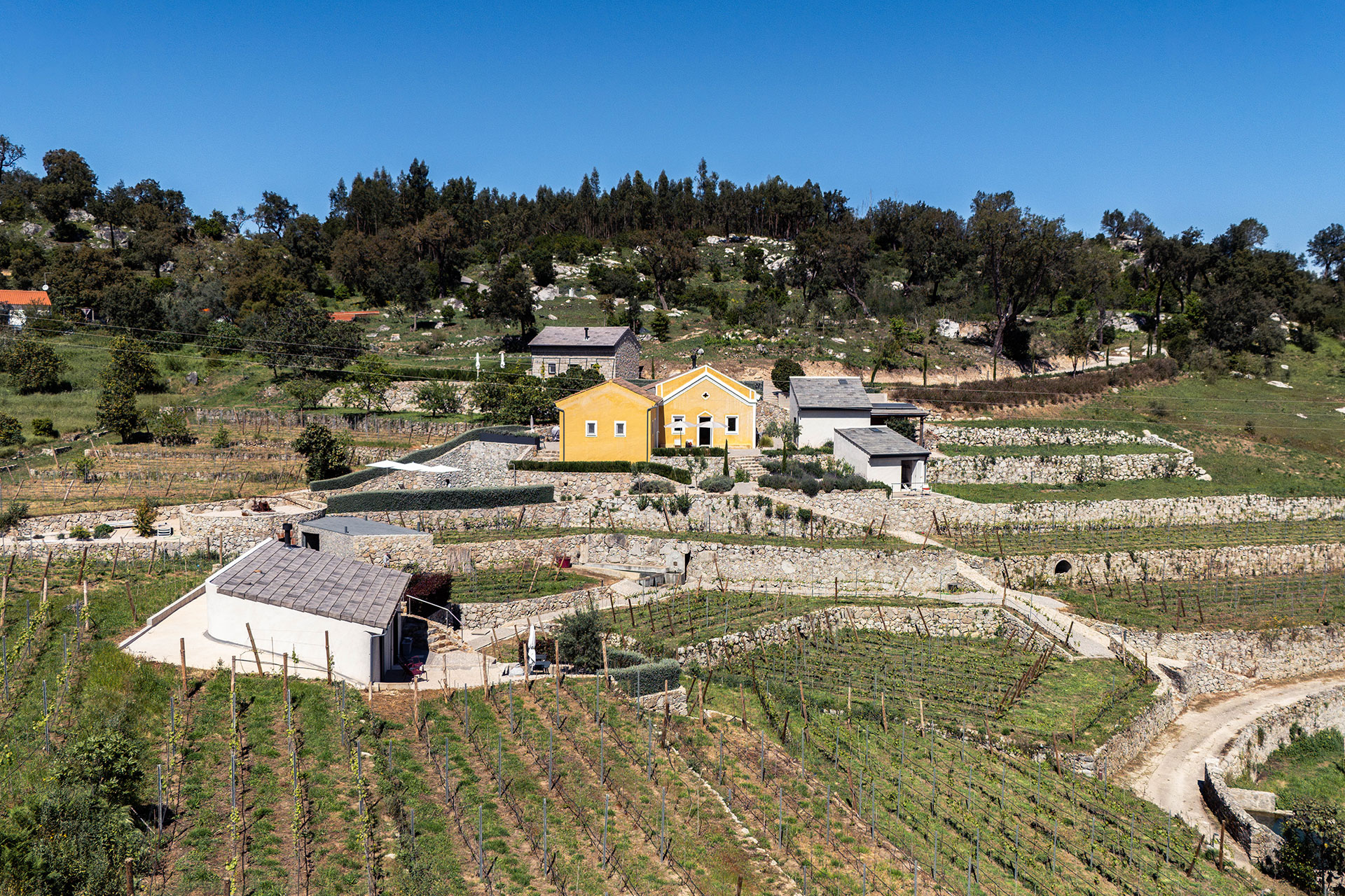 quinta-da-lila_estate_Faro-District-portugal_exterior-drone.jpg