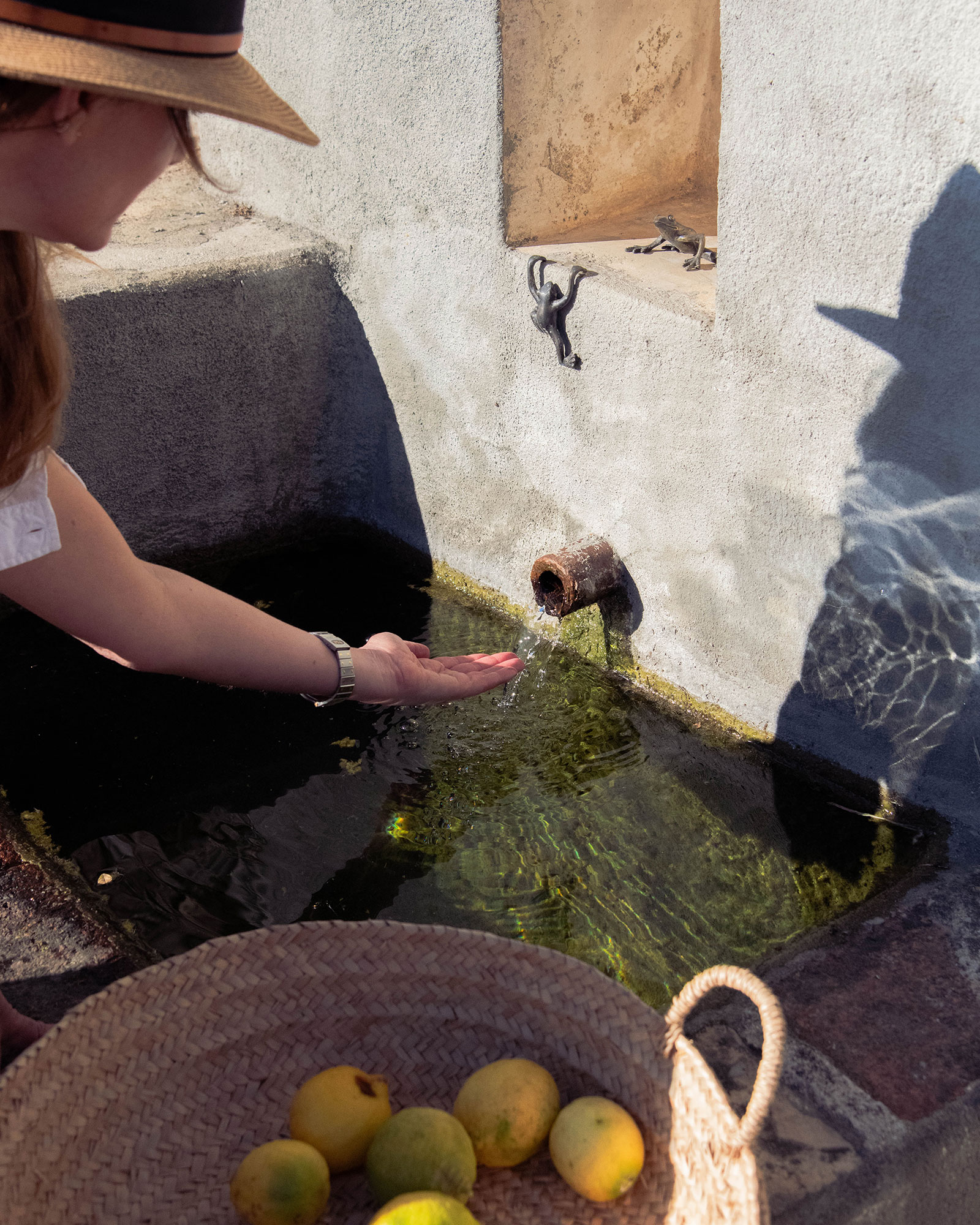 quinta-da-lila_estate_Faro-District-portugal_exterior-water.jpg