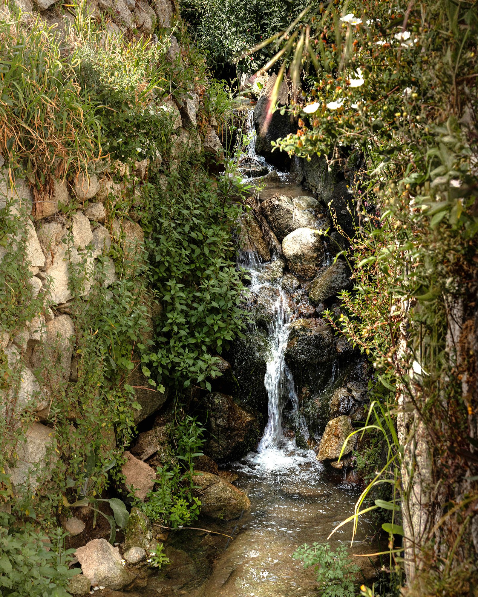 quinta-da-lila_estate_Faro-District-portugal_exterior-waterfall.jpg
