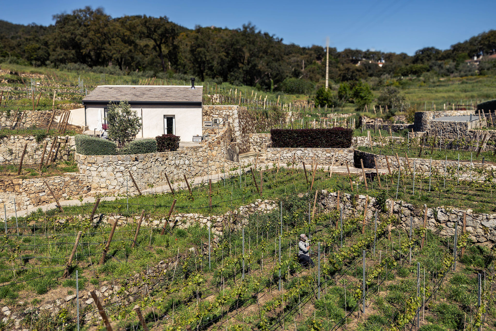 quinta-da-lila-the-bakers-cottage_estate_Faro-District-portugal_exterior.jpg