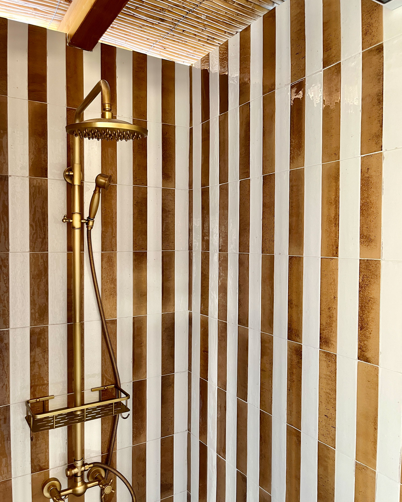 villa-maillard_house_Sardinia-italy_interior-shower.jpg