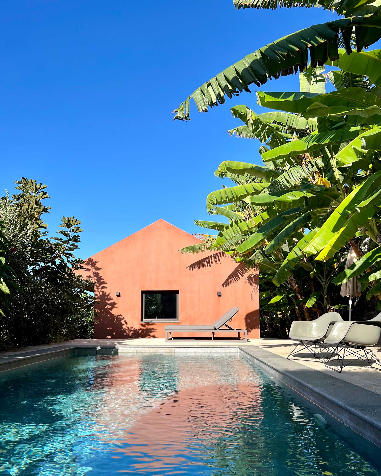 The Banana House