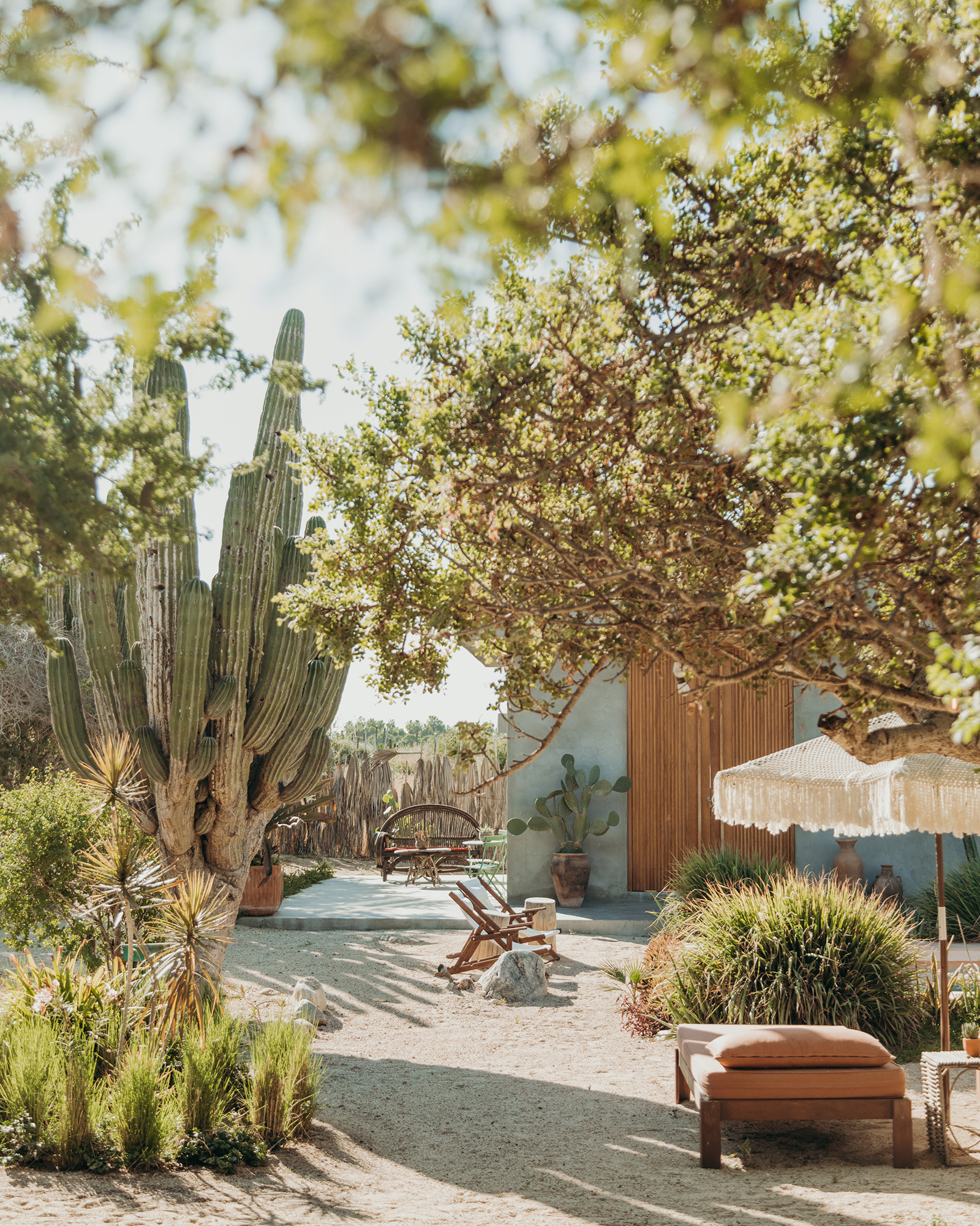 casa-de-zorros_house_el-pescadero-baja-california-sur-mexico_exterior-cacti.jpg
