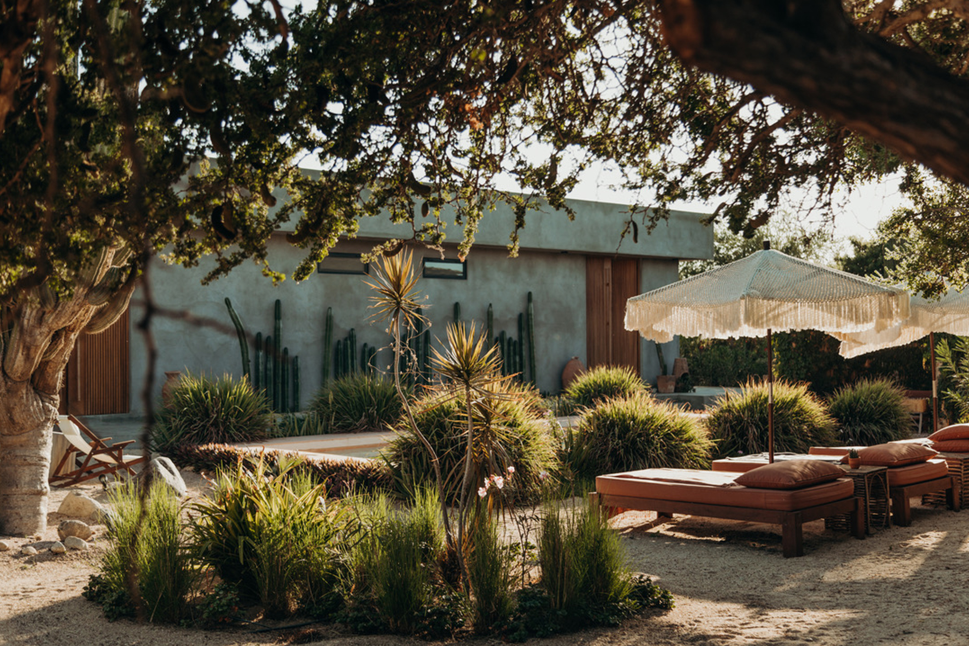 casa-de-zorros_house_el-pescadero-baja-california-sur-mexico_exterior-plants.jpg