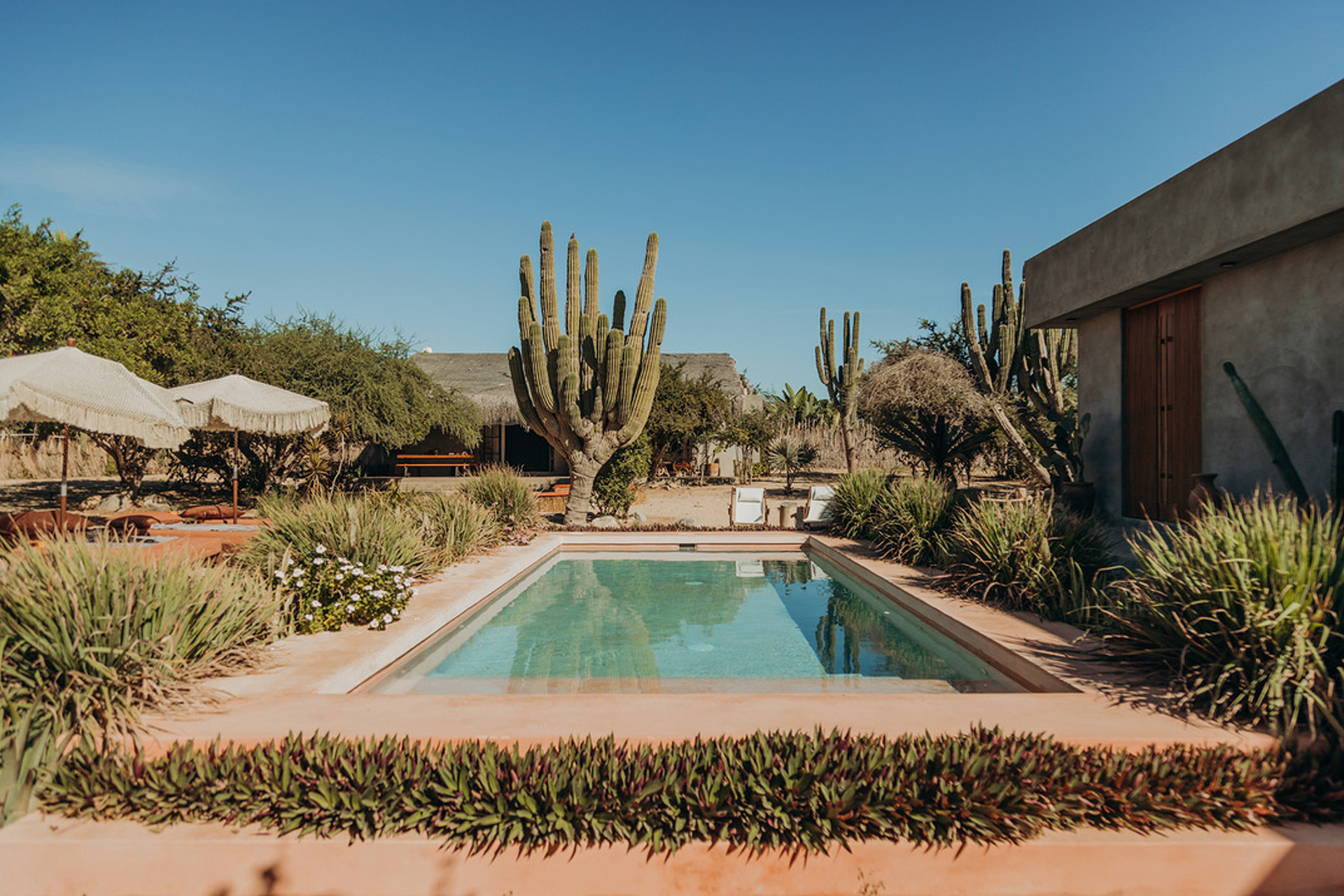casa-de-zorros_house_el-pescadero-baja-california-sur-mexico_exterior-pool.jpg