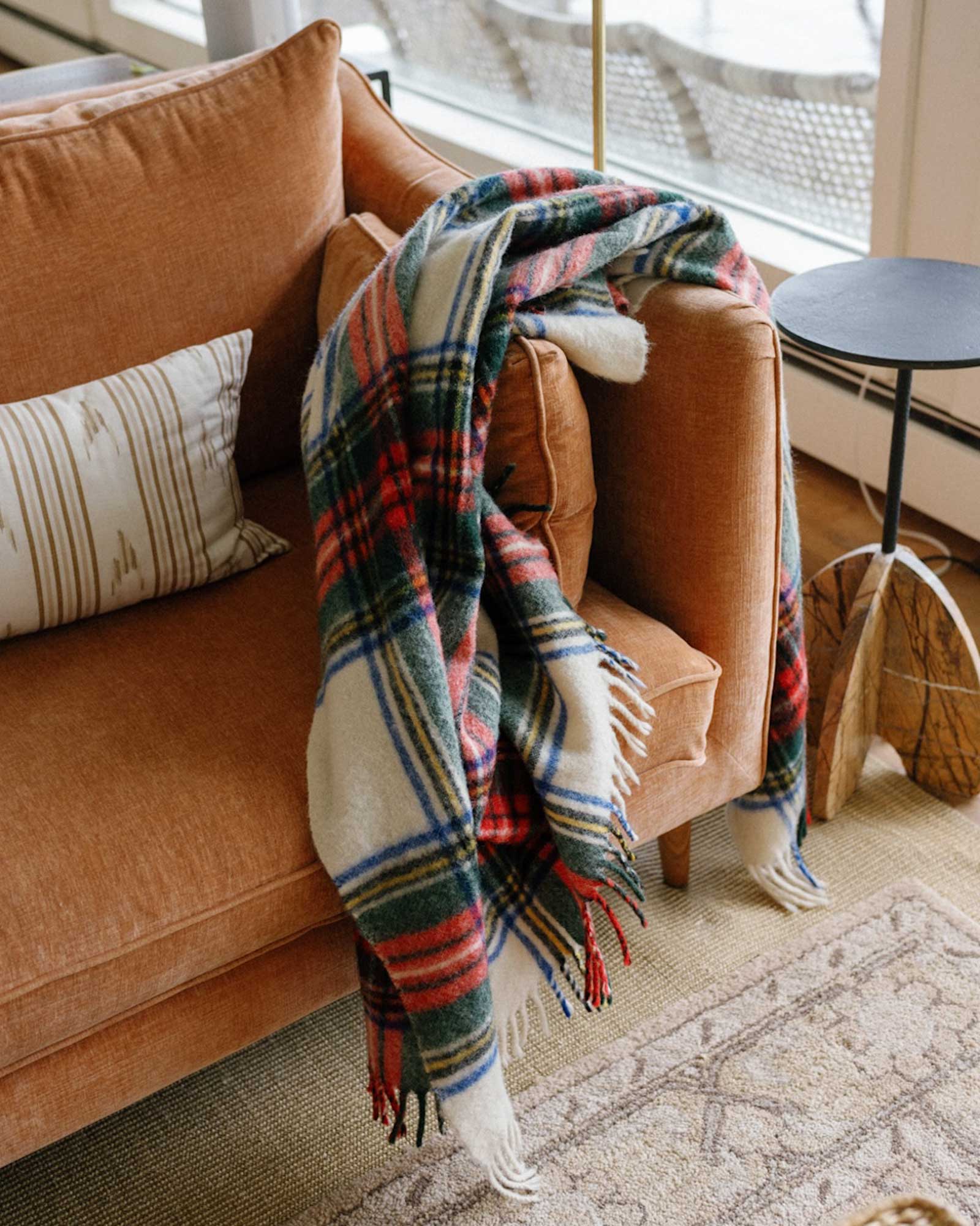 the-asher_house_wisconsin-usa_interior-sofa-detail.jpg