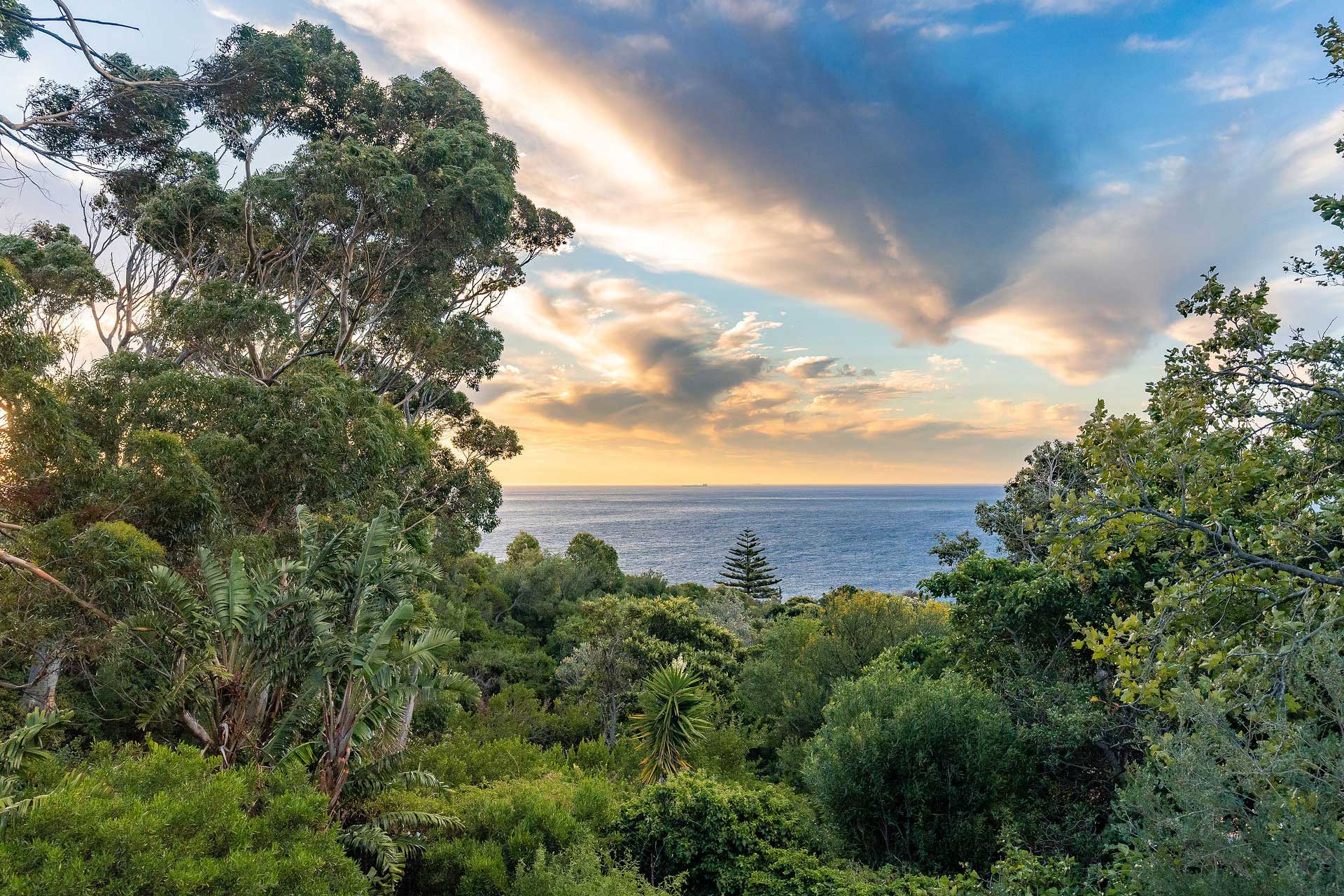 river42-camps-bay_villa_cape-town-south-africa_exterior-view-plants.jpg