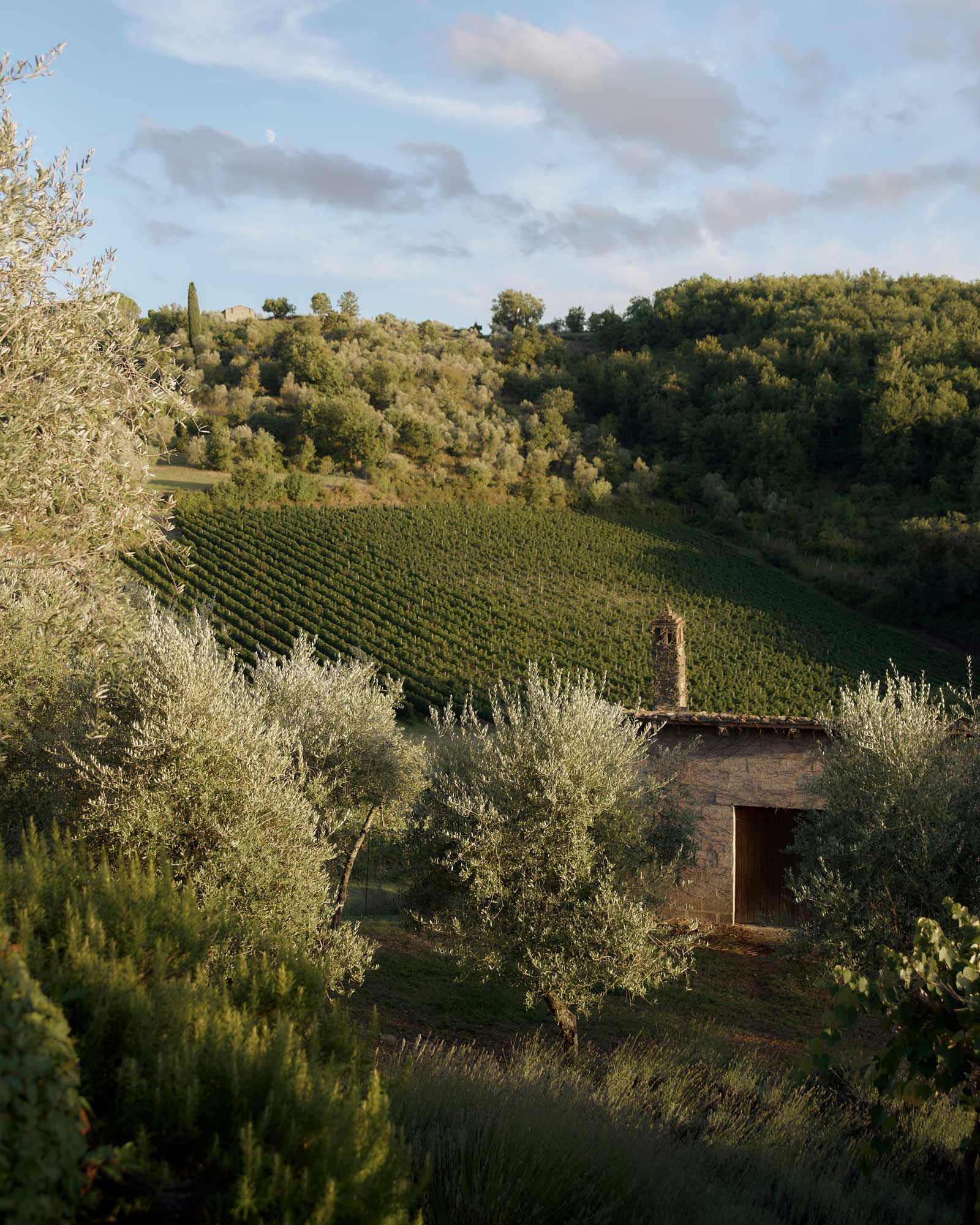 fattoria-valtellina_country-house_tuscany-italy_exterior-detail-design.jpg