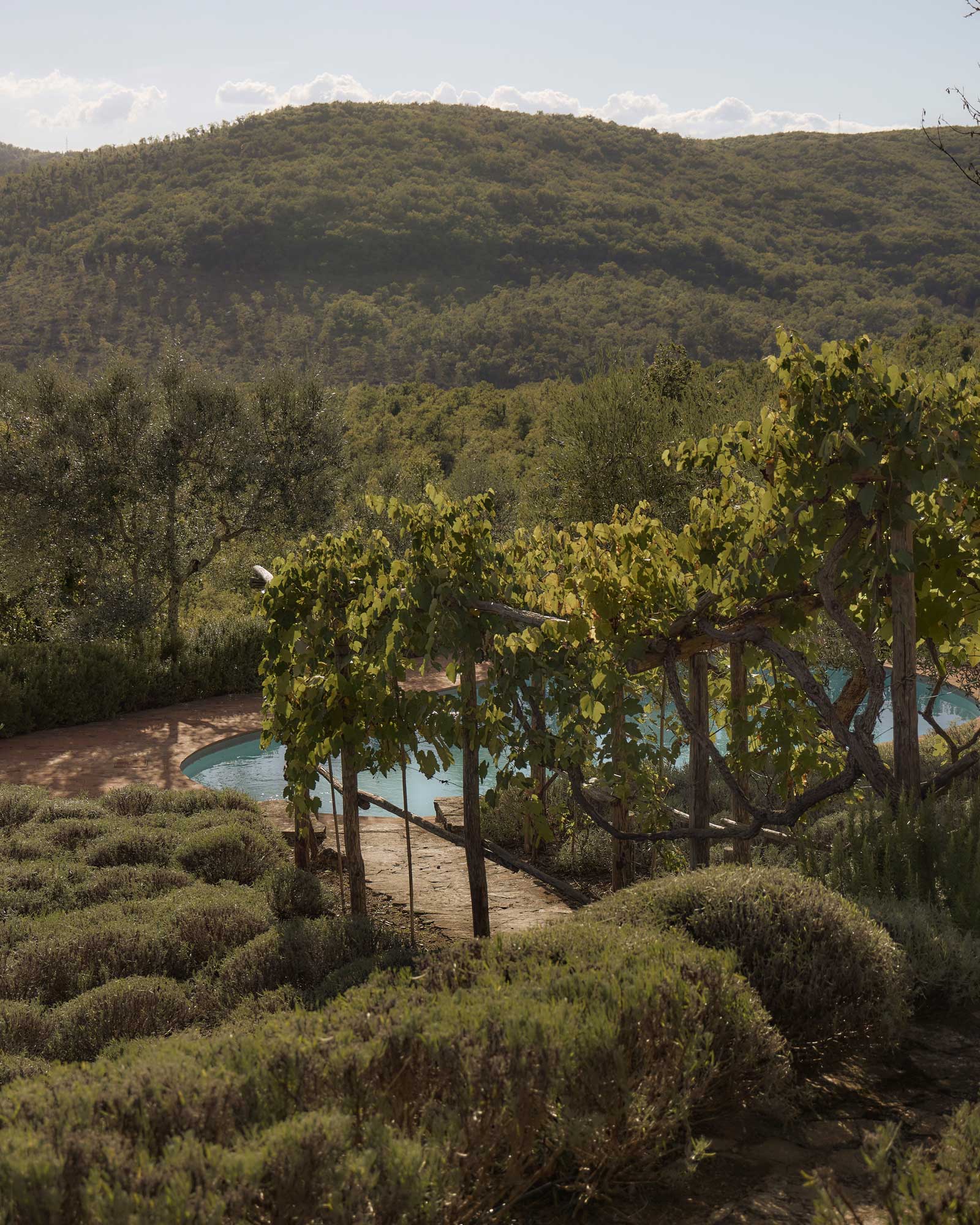 fattoria-valtellina_country-house_tuscany-italy_exterior-pool.jpg