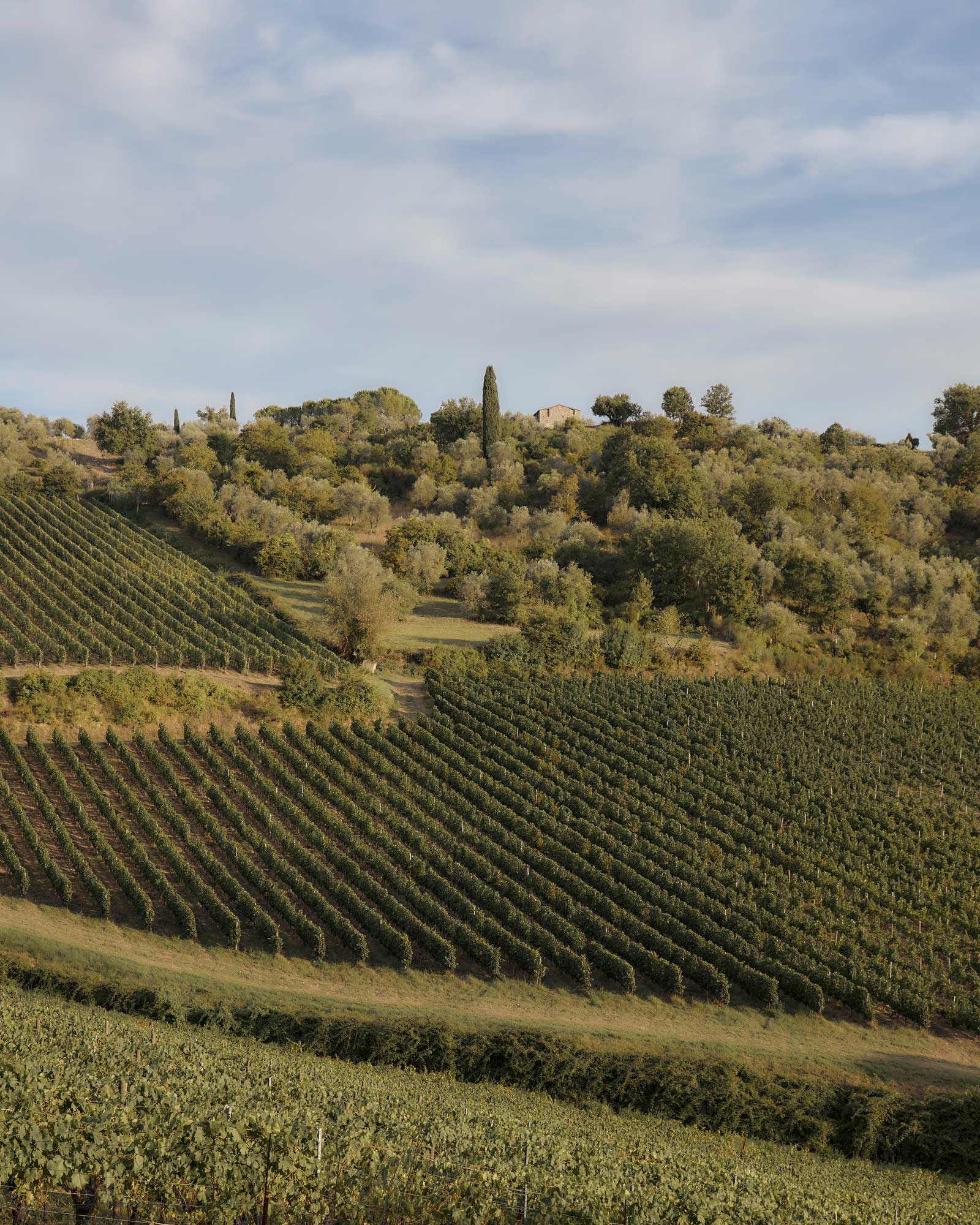 fattoria-valtellina_country-house_tuscany-italy_exterior-tuscany.jpg
