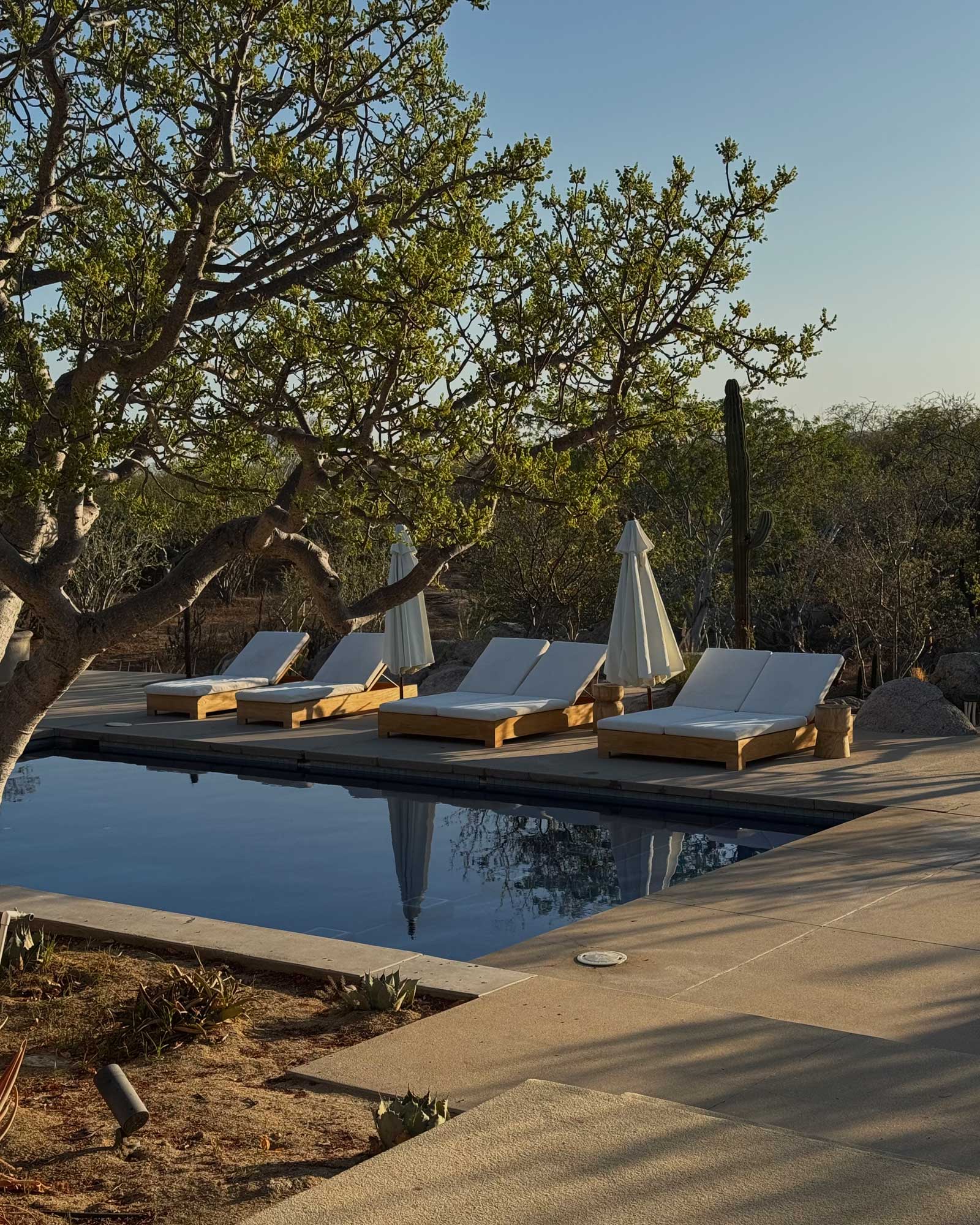 Los-Zacatitos-By-Boutique_villa_baja-california-sur-mexico_exterior-pool.jpg