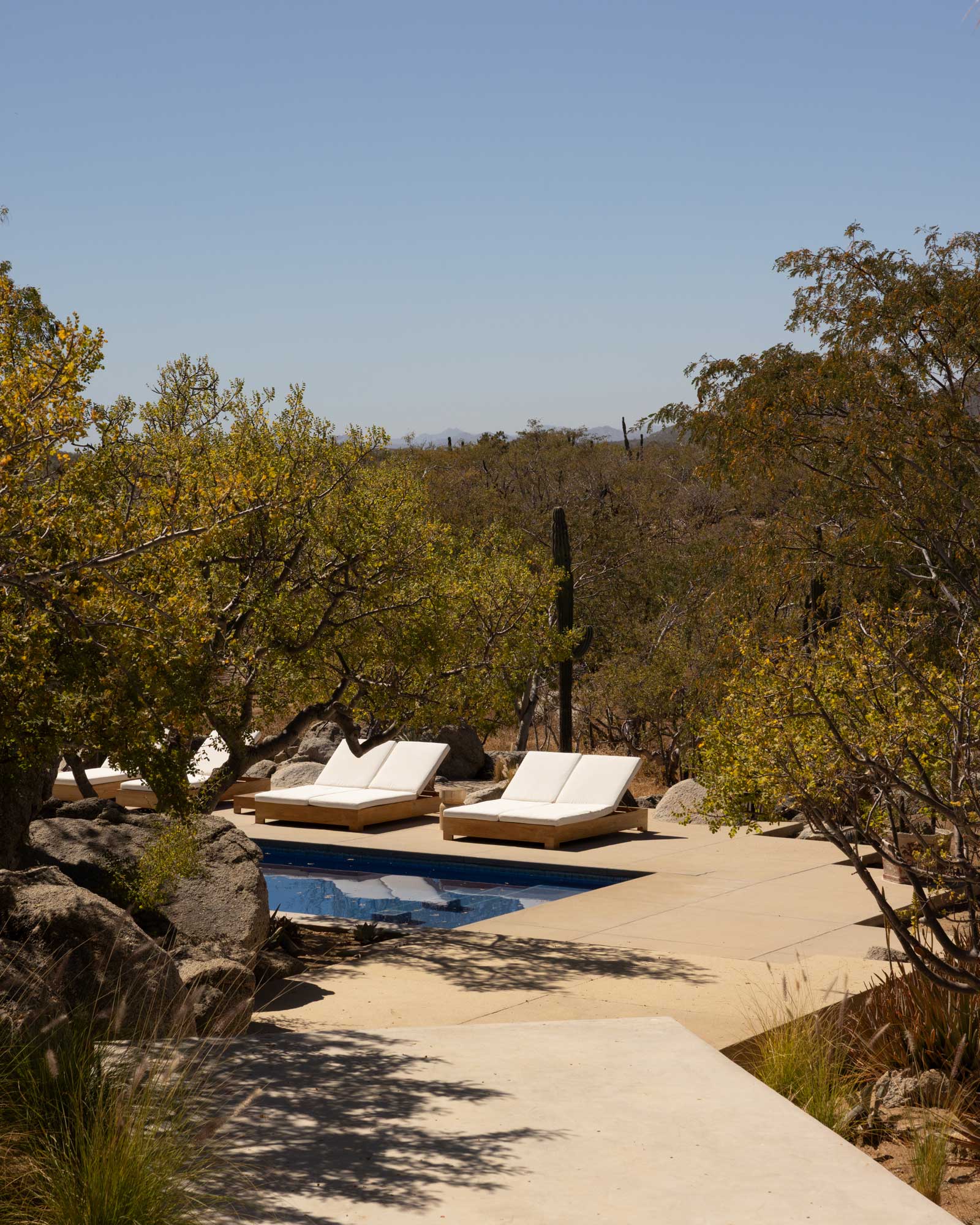 los-zacatitos-byboutique_villa_baja-california-sur-mexico_exterior-pool.jpg