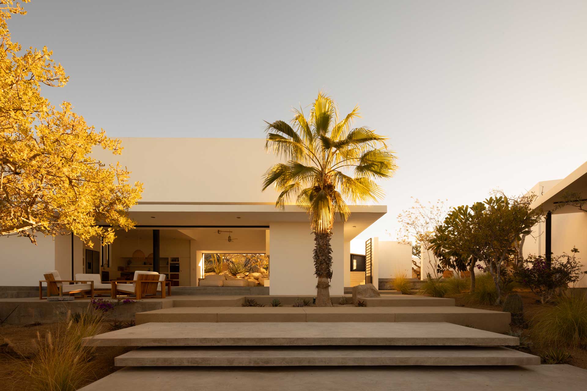 Los Zacatitos By Boutique