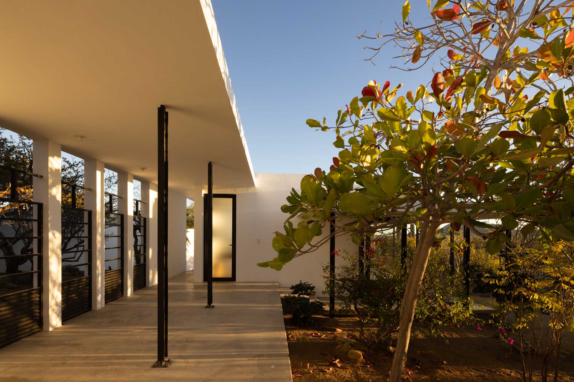 los-zacatitos-byboutique_villa_baja-california-sur-mexico_exterior-trees.jpg