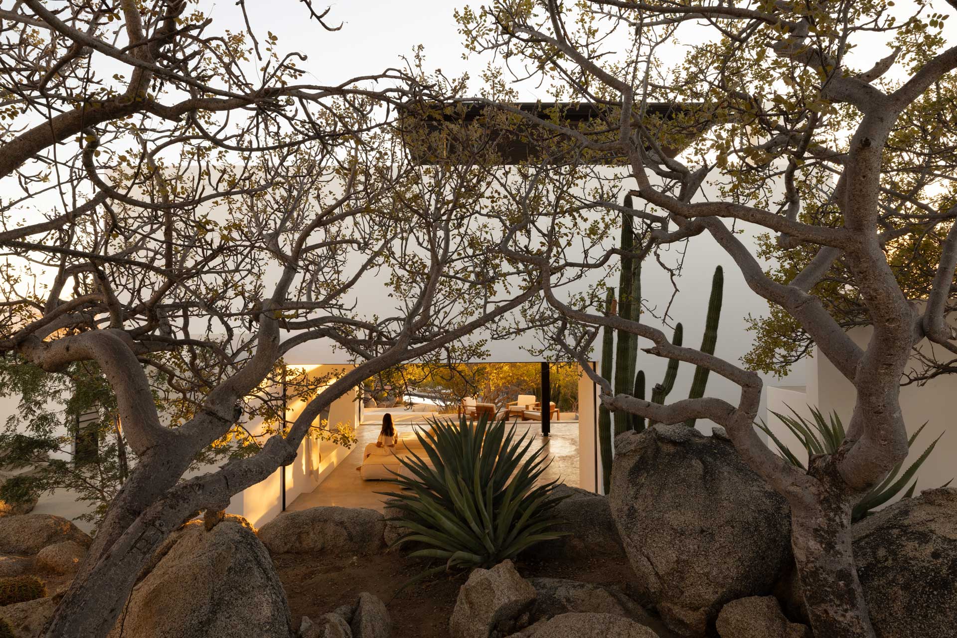 los-zacatitos-byboutique_villa_baja-california-sur-mexico_exterior-trees-facade.jpg