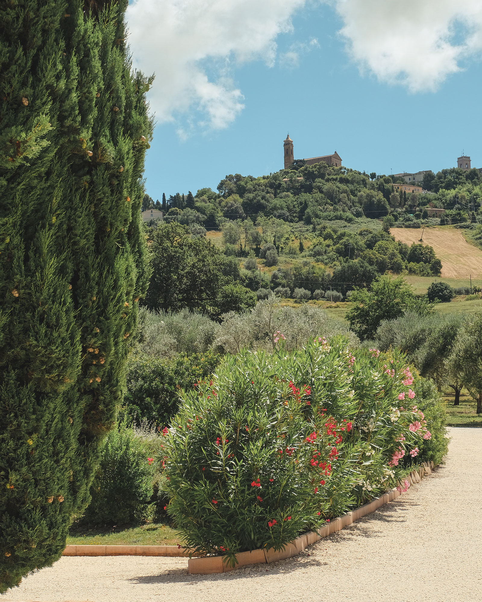 agriturismo-scala_bed-and-breakfast_marche-italy_exterior-5.jpg