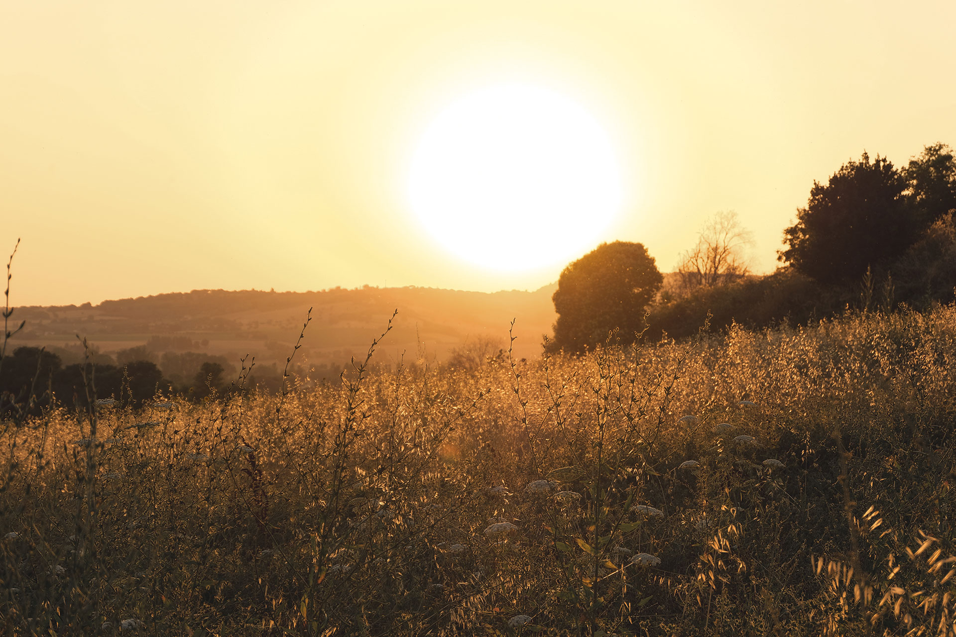 agriturismo-scala_bed-and-breakfast_marche-italy_exterior-sunset-6.jpg