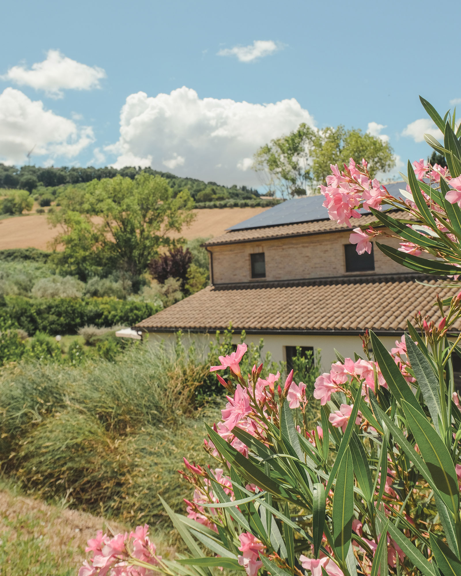 agriturismo-scala_bed-and-breakfast_marche-italy_interior-30.jpg