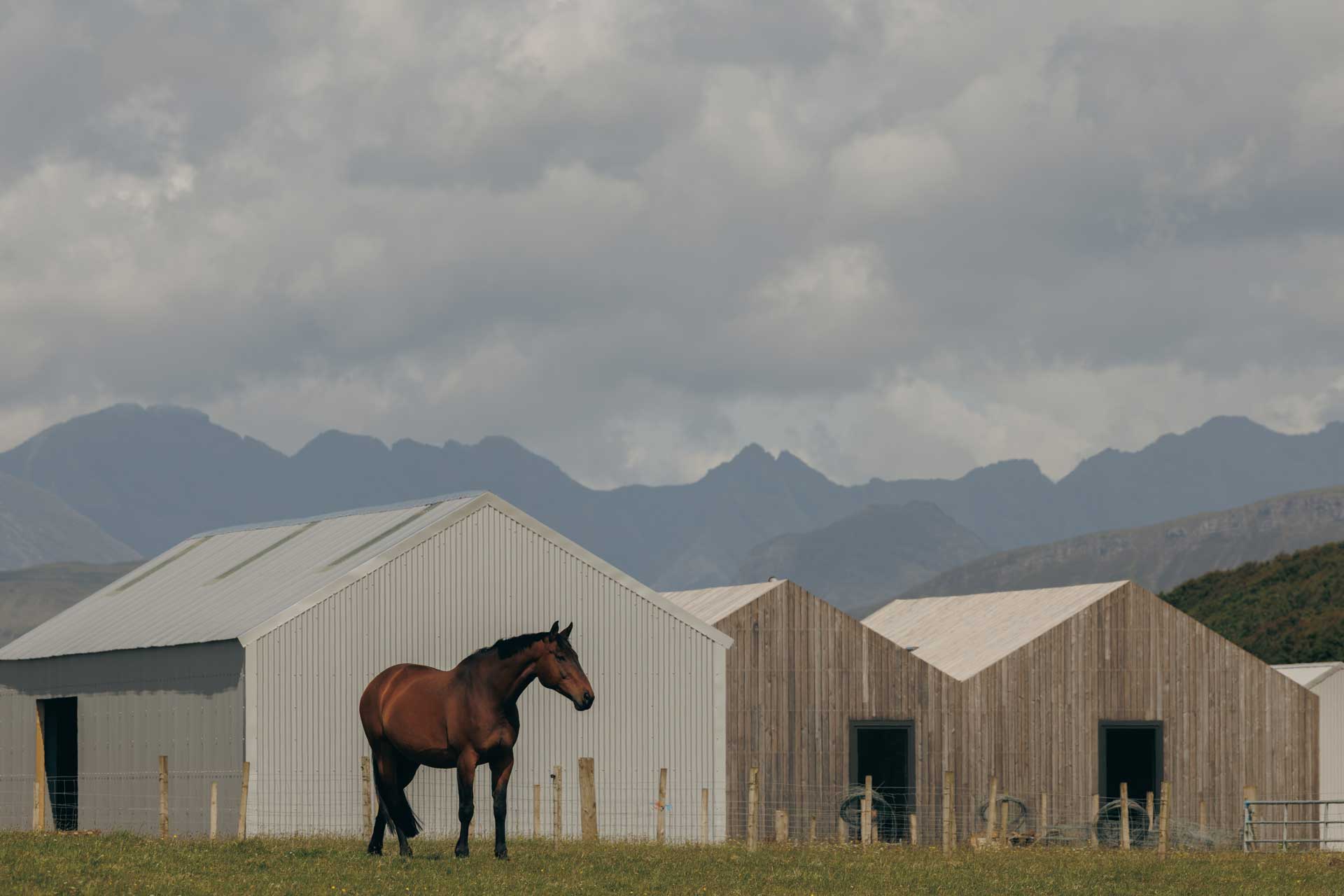 glasan_cabin_scotland-uk_exterior-horse.jpg