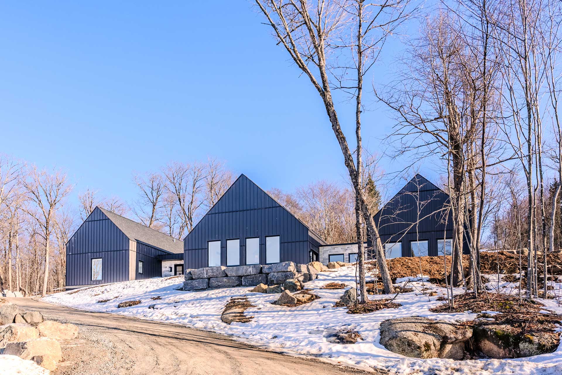 alpine-reverie-by-boutique_house_quebec-canada_exterior-house.jpg