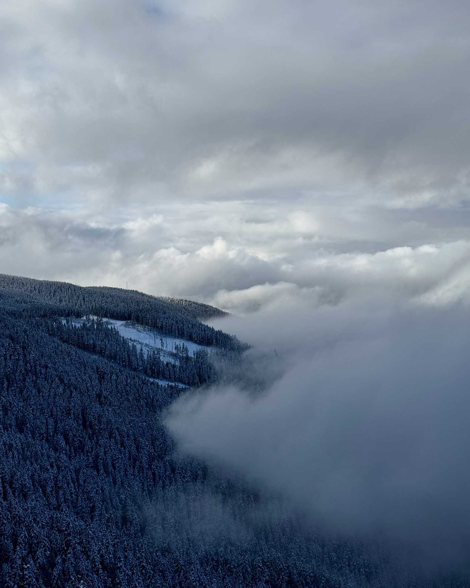 the-wedge_chalet_Whistler_california_usa_whistler-mood-mountains.jpg