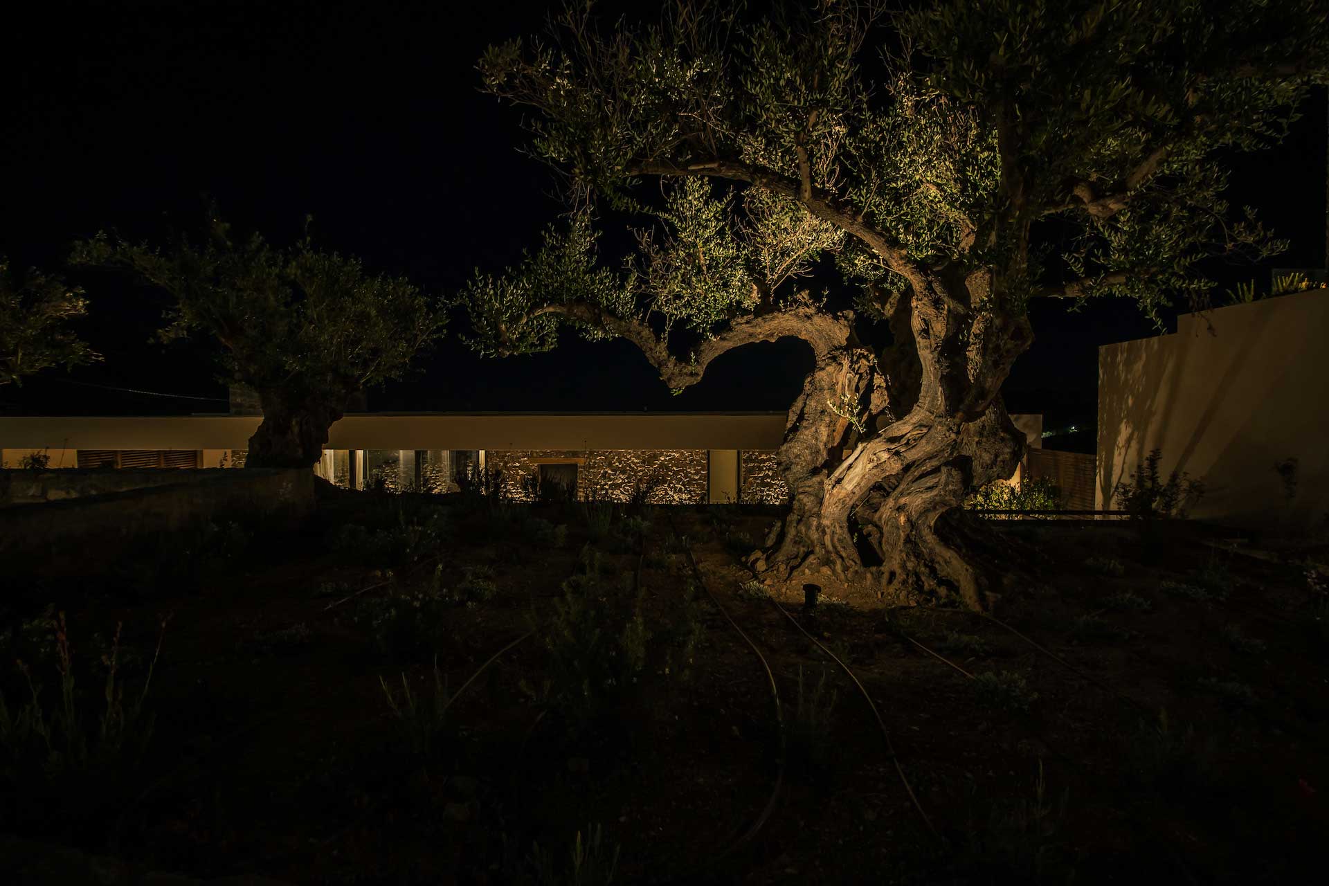 nuez-villas-ground-level-villa_villa_crete-greece_exterior-night-facade.jpg