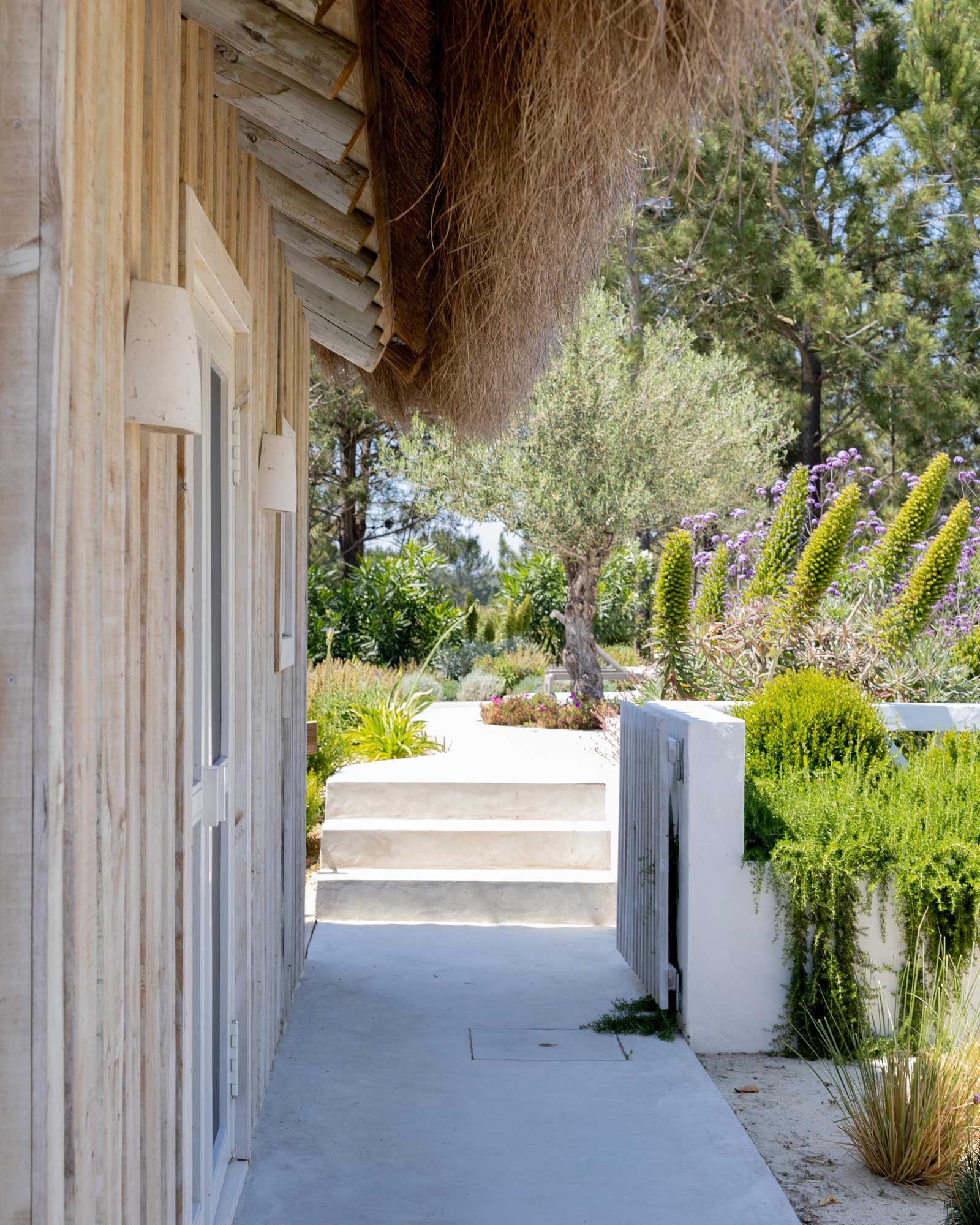 casa-celeste_villa_comporta-portugal_exterior-detail-plant.jpg