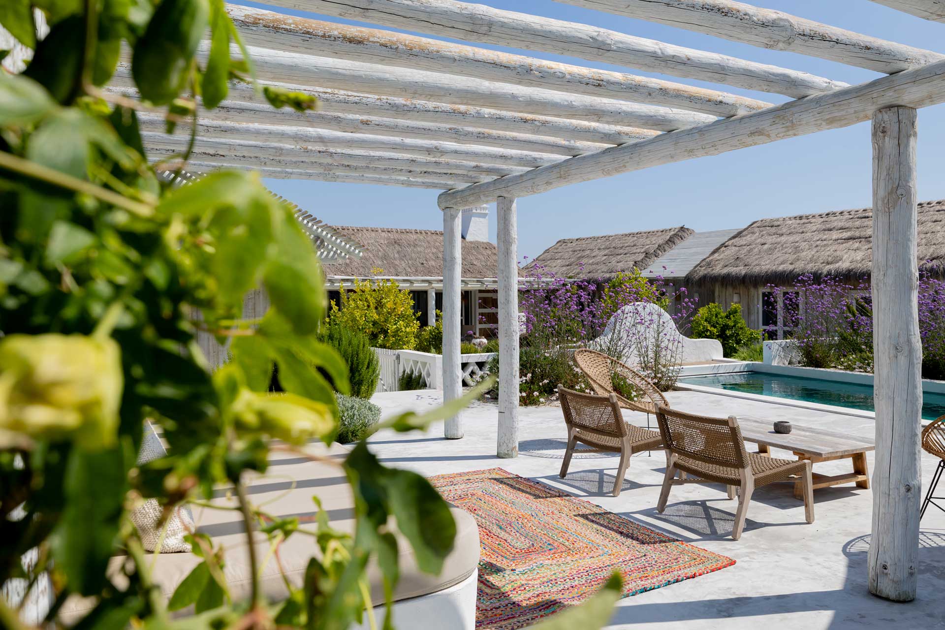 casa-celeste_villa_comporta-portugal_exterior-detail-plants.jpg