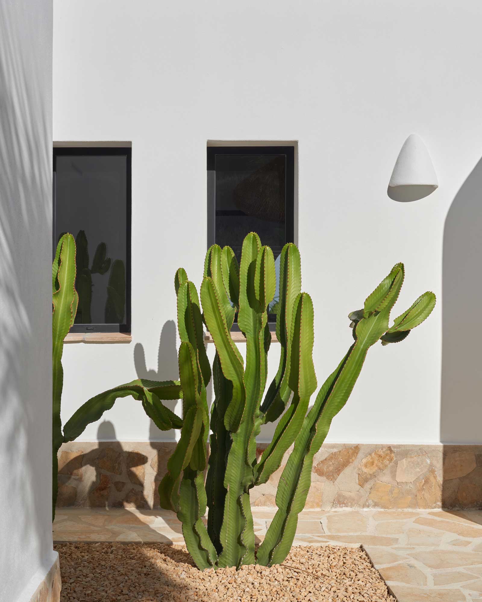 la-casa-betty_villa_alicante-spain_exterior-cacti.jpg