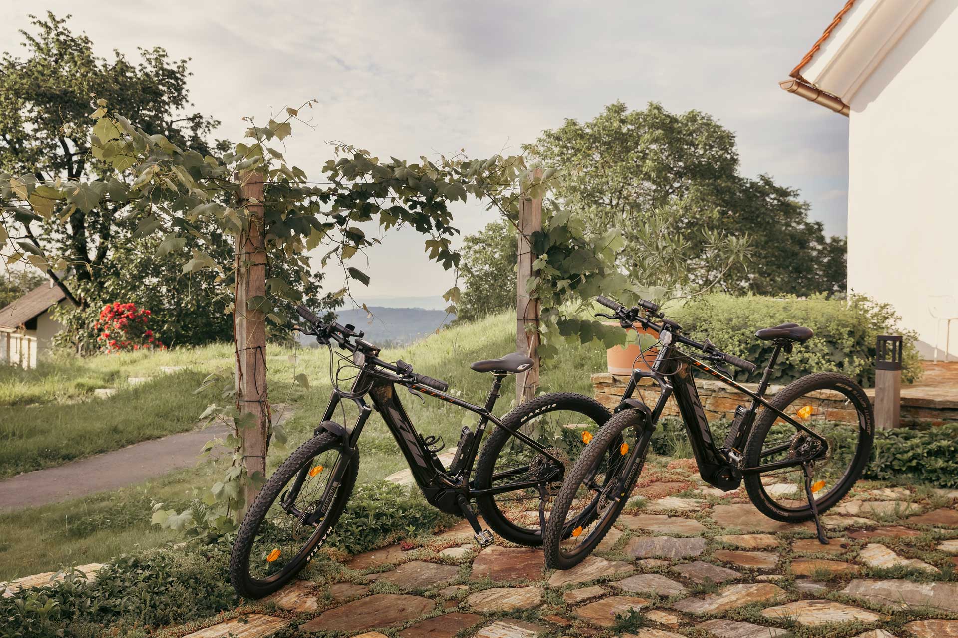 am-wildbachberg_house_steiermark-austria_exterior-bikes.jpg