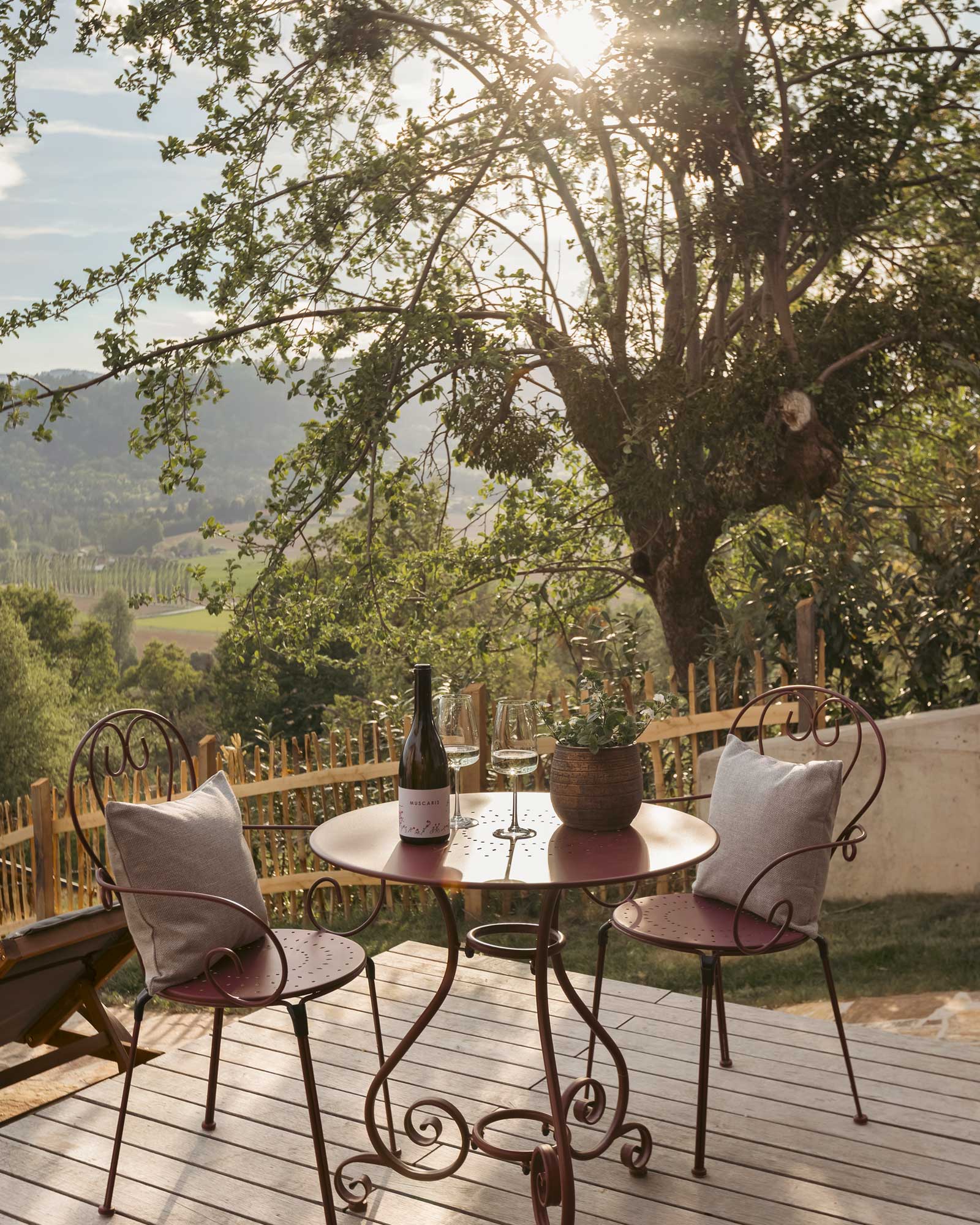 haus-sepp-am-wildbachberg_house_steiermark-austria_exterior-table.jpg