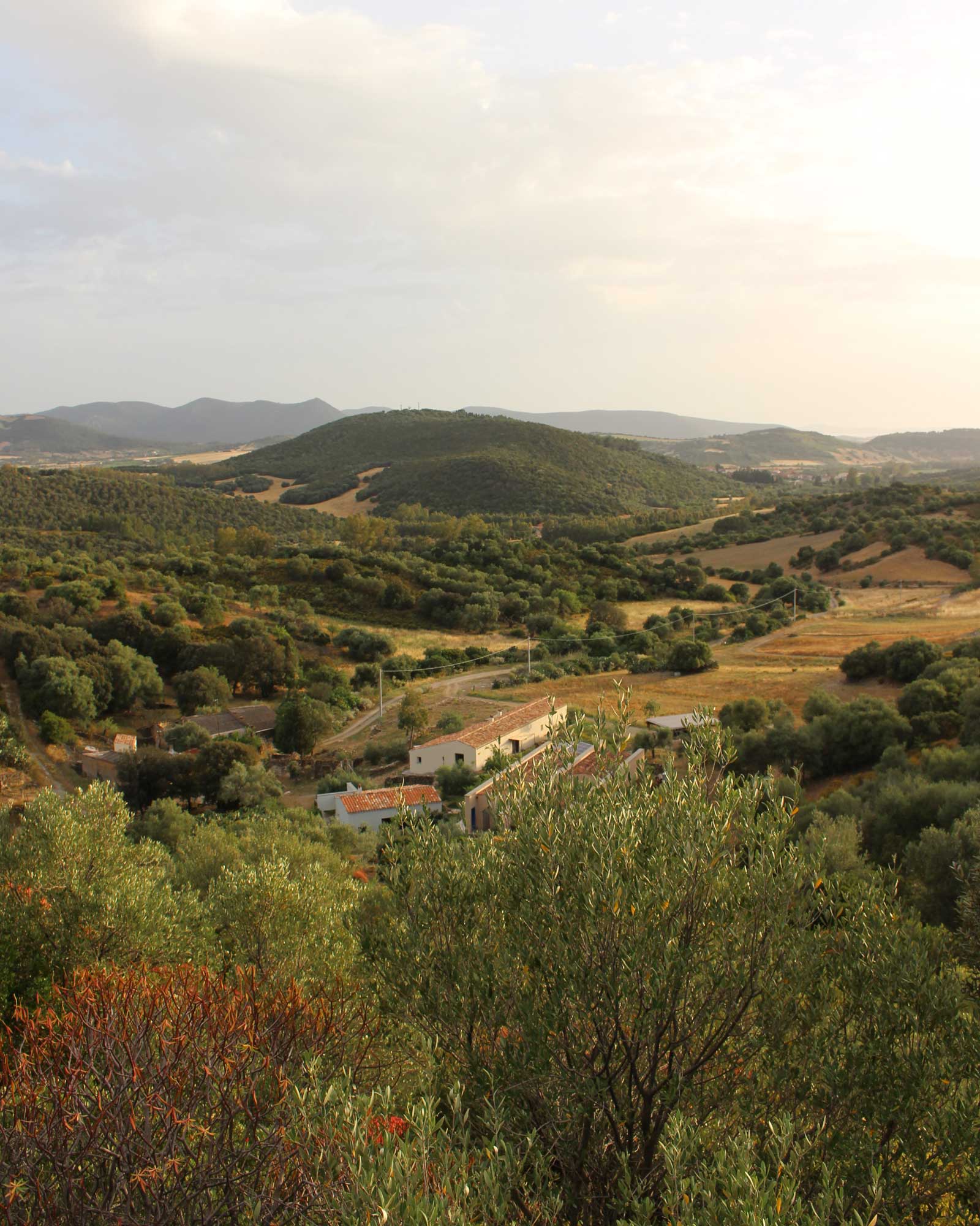 luxi-bia_house_sardegna-italy_exterior-view.jpg