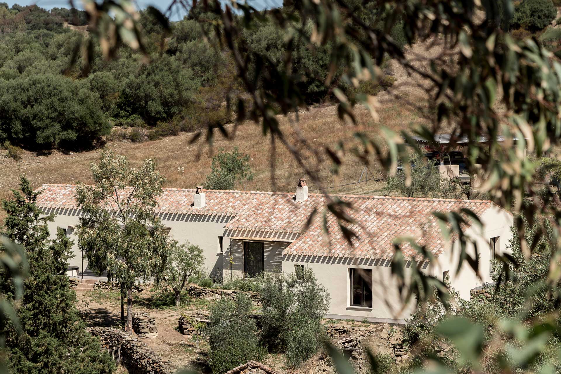 luxi-bia-casa-corte
