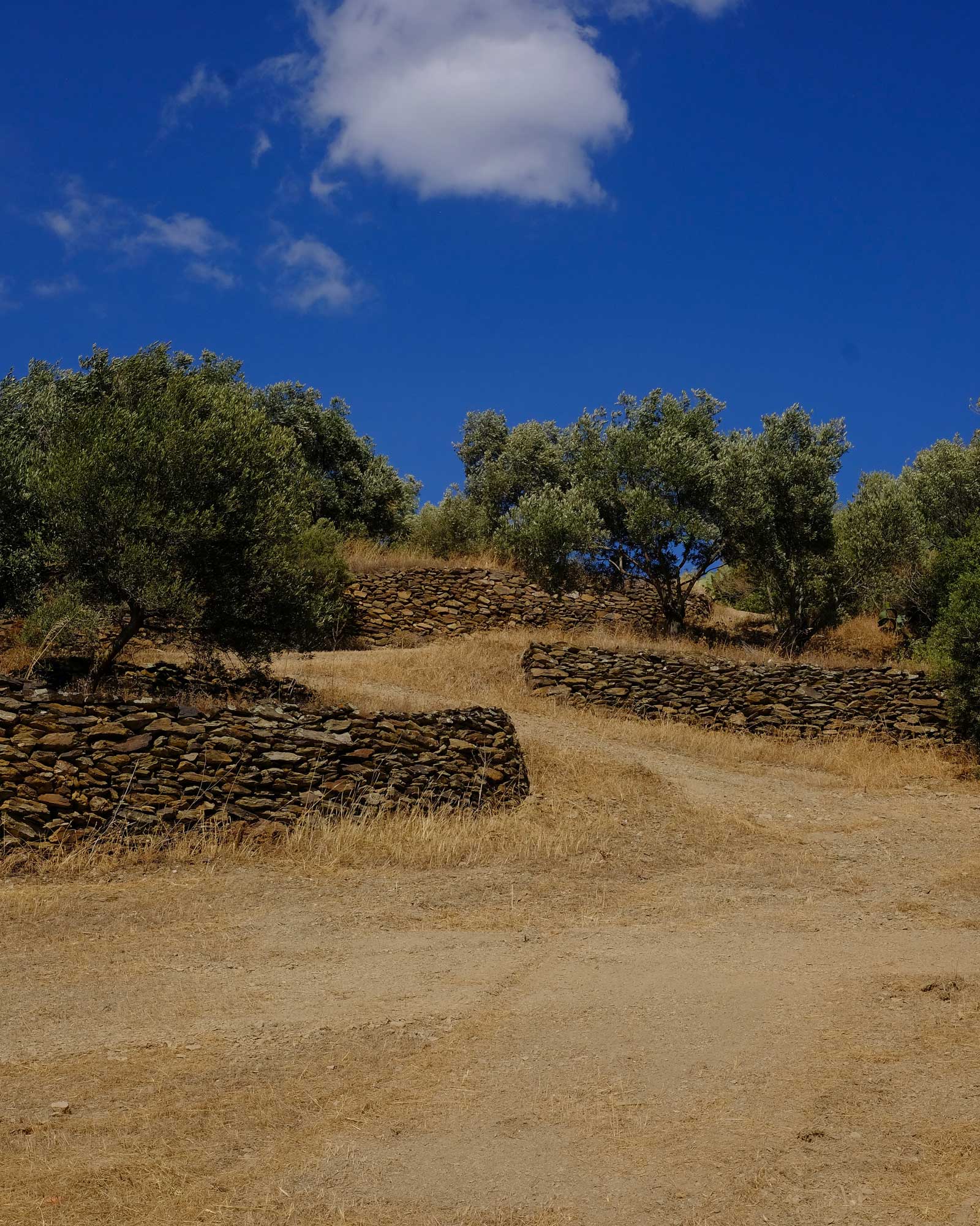 luxi-bia_house_sardegna-italy_exterior.jpg