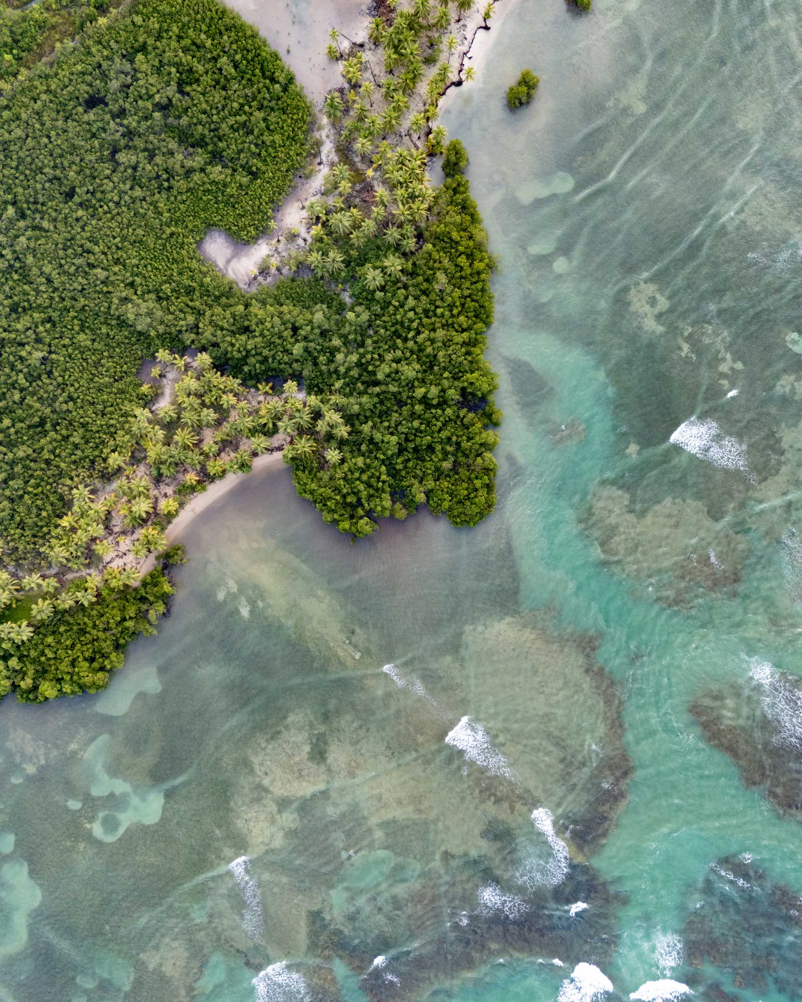 casa-madera_house_samana-dominican-republic_exterior-detail-drone.jpg