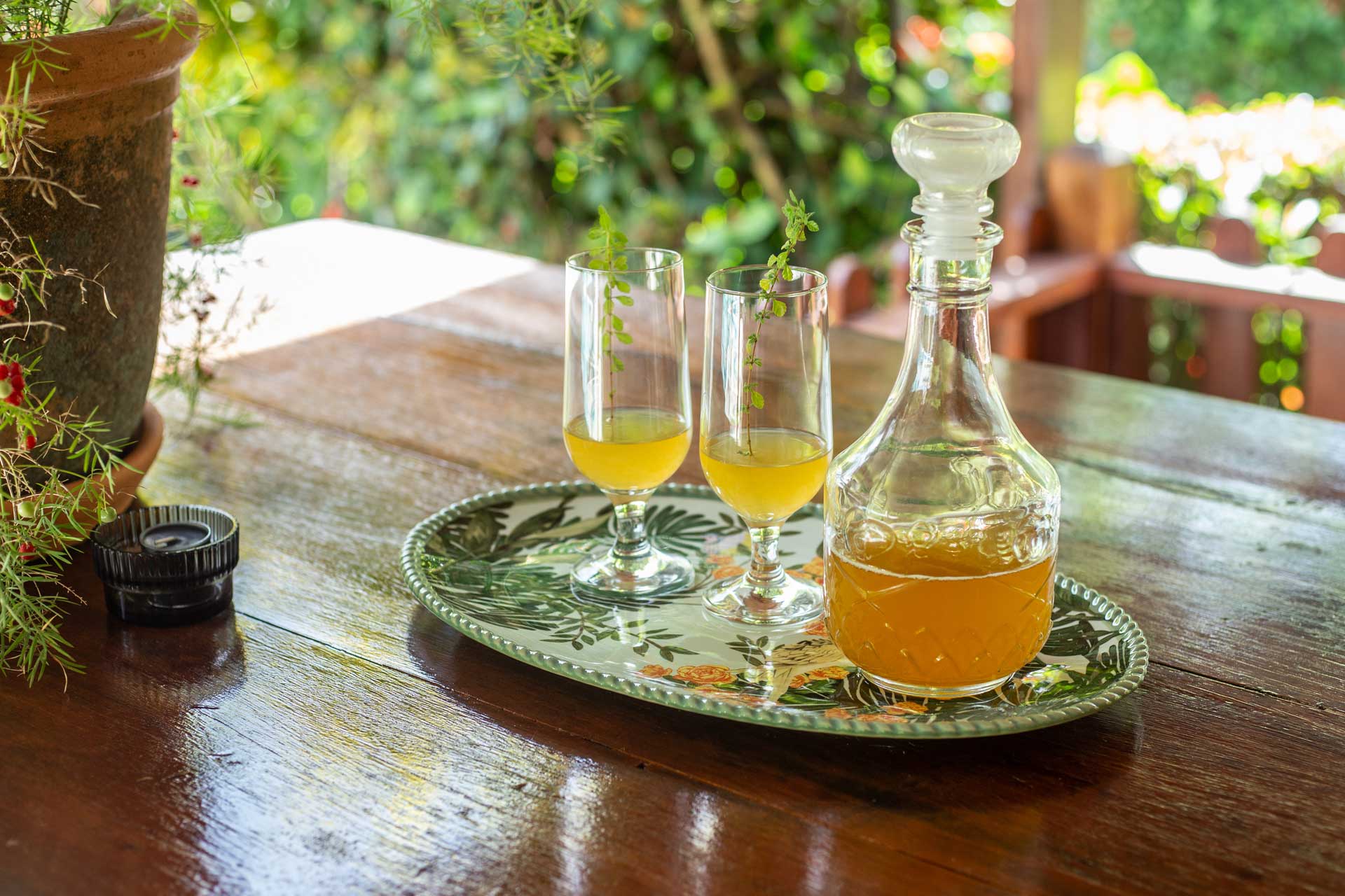 casa-madera_house_samana-dominican-republic_exterior-drink.jpg