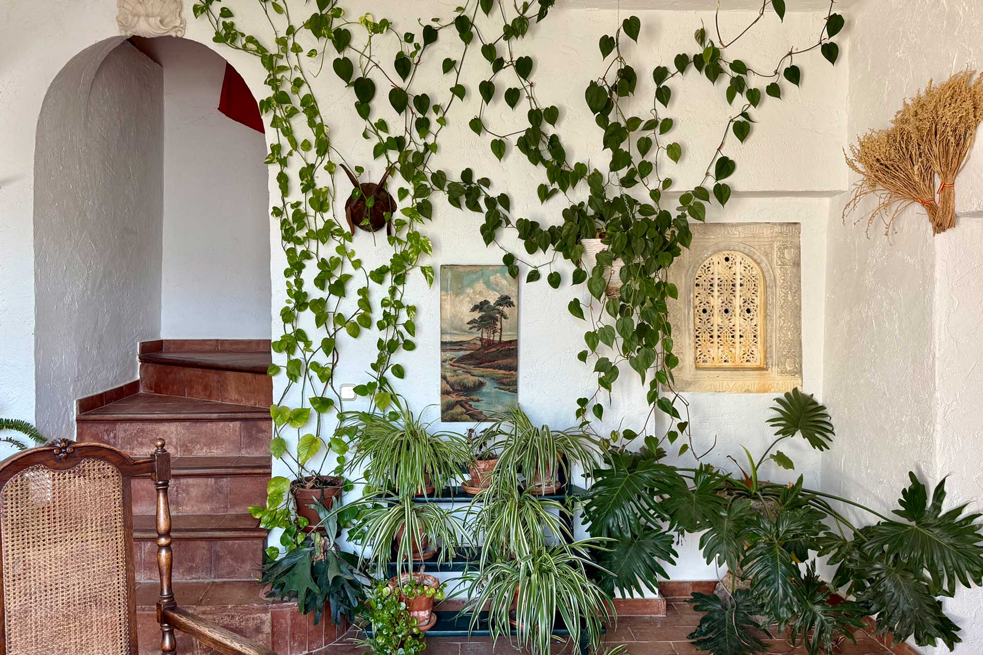 cortijo-la-sierrazuela_farmhouse_andalusia-spain_exterior-plants.jpg