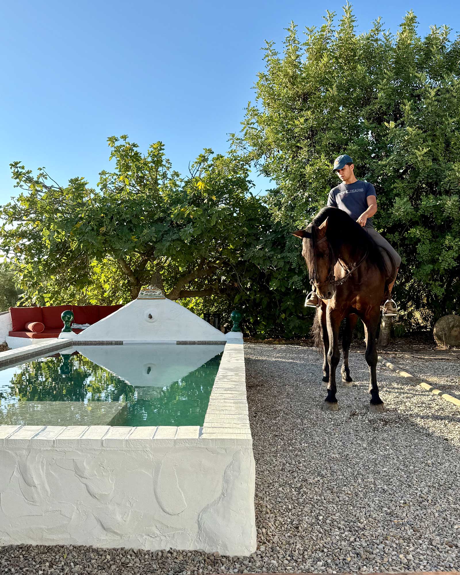 cortijo-la-sierrazuela_farmhouse_andalusia-spain_exterior-pool.jpg