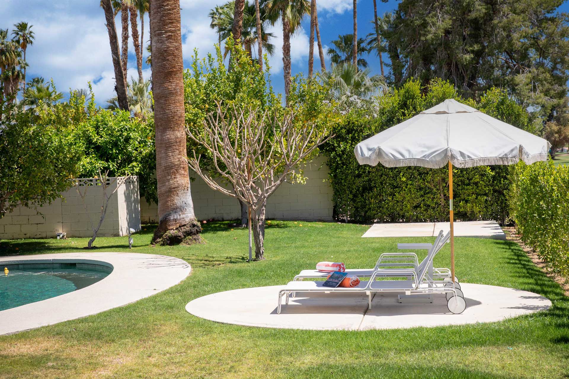 the-royal-singapore-palm-springs_house_california-usa_exterior-garden.jpg