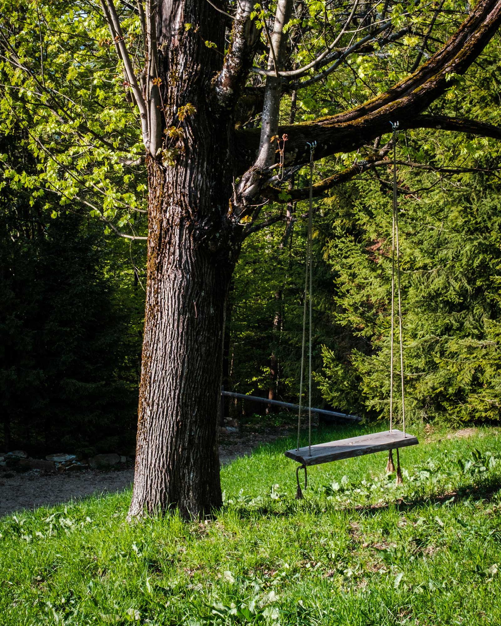 chata-pytlorka_house_navsi-czech-republic_exterior-tree.jpg