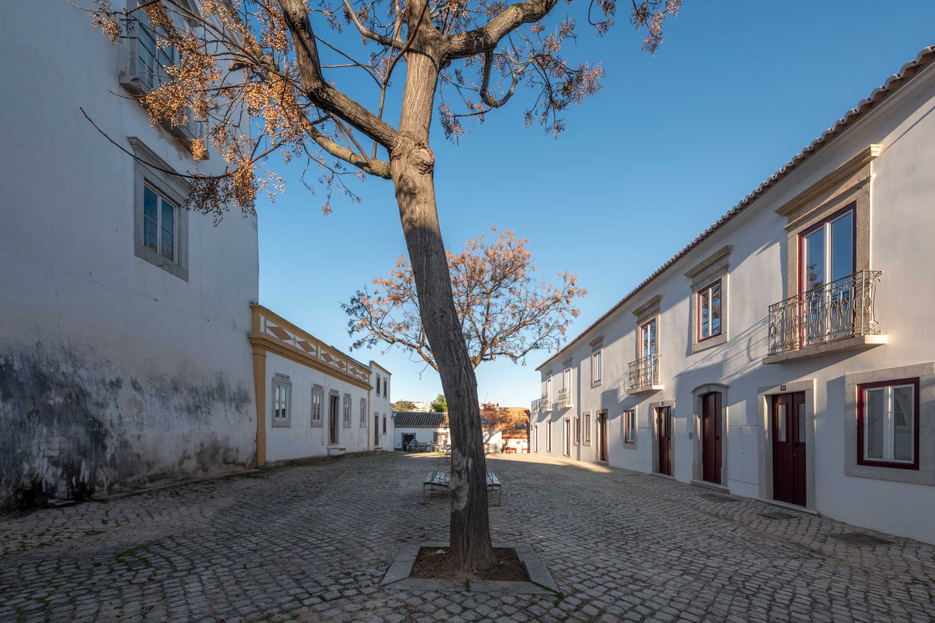 dona-ana-house_house_faro-portugal_exterior-street-tree.jpg