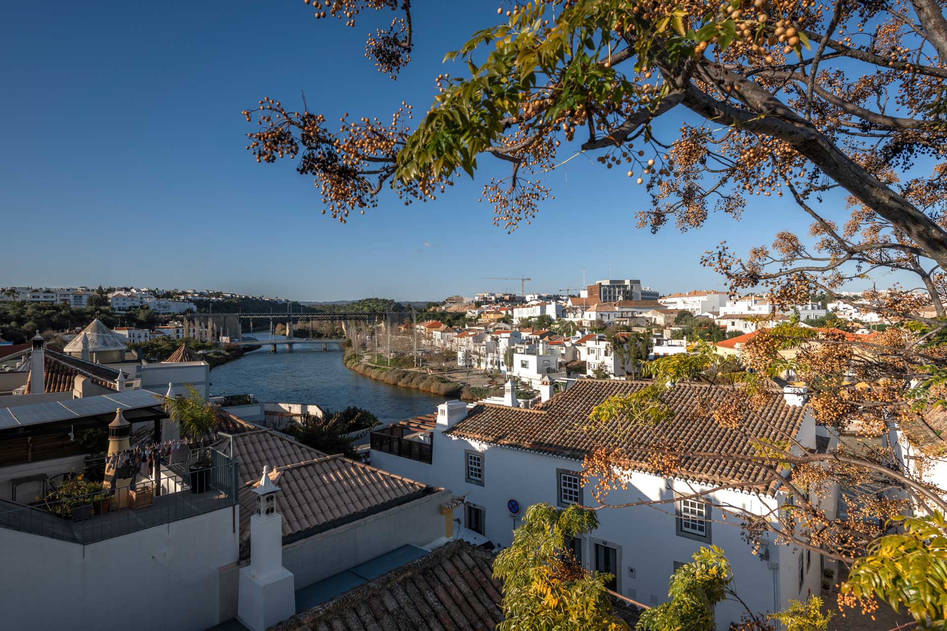 dona-ana-house_house_faro-portugal_exterior-view.jpg