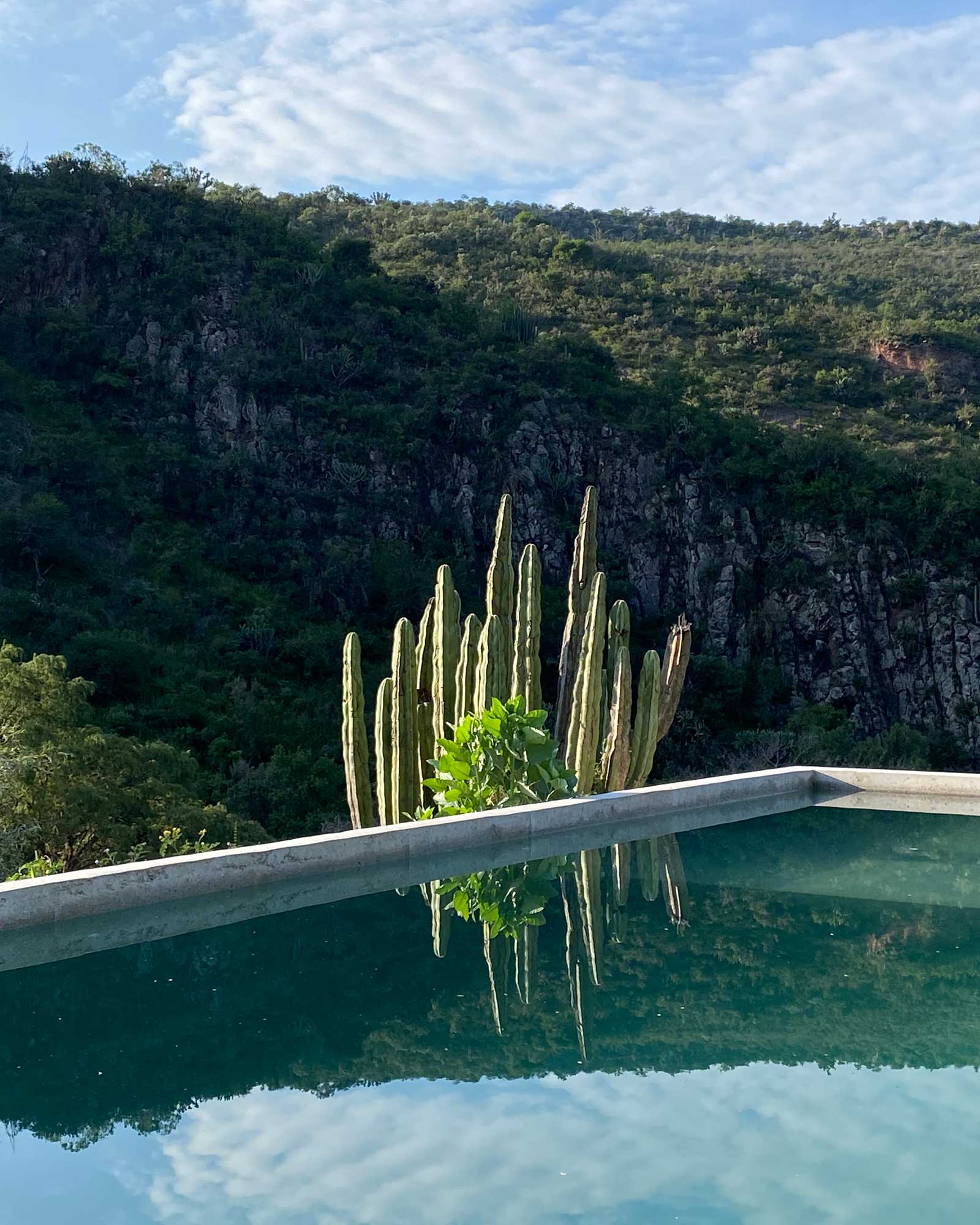 hacienda-el-aguacate_house_tequisquiapan-queretaro-mexico_exterior-pool-cacti.jpg